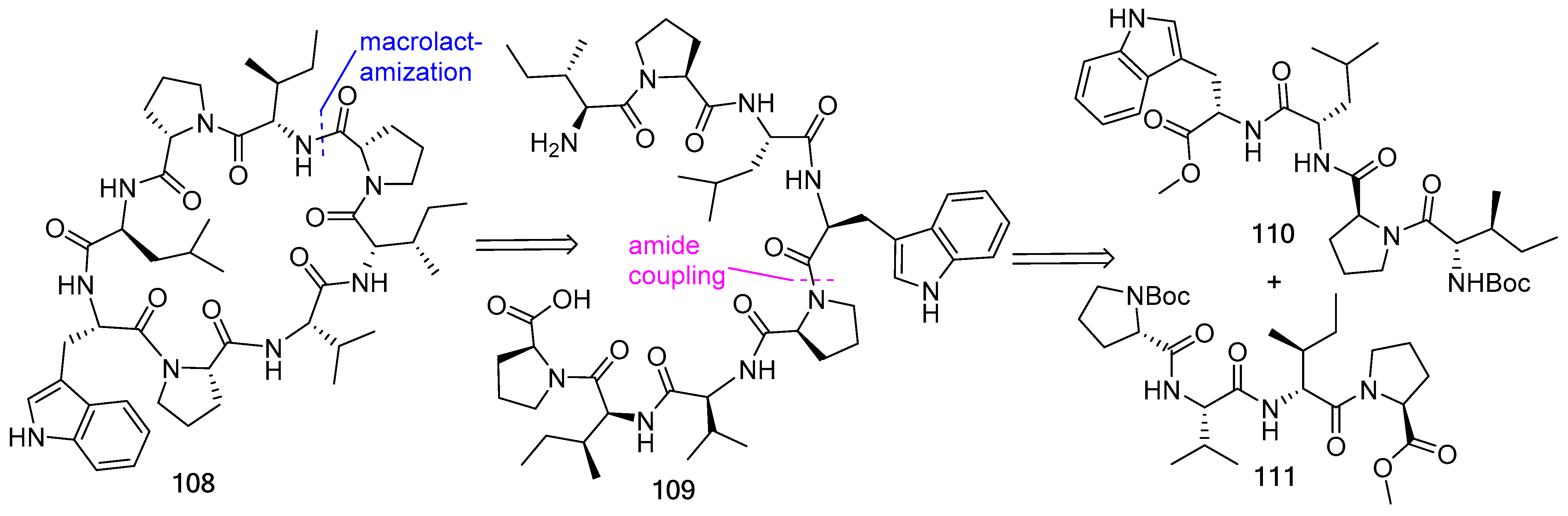 Biomedicines 13 00240 g029
