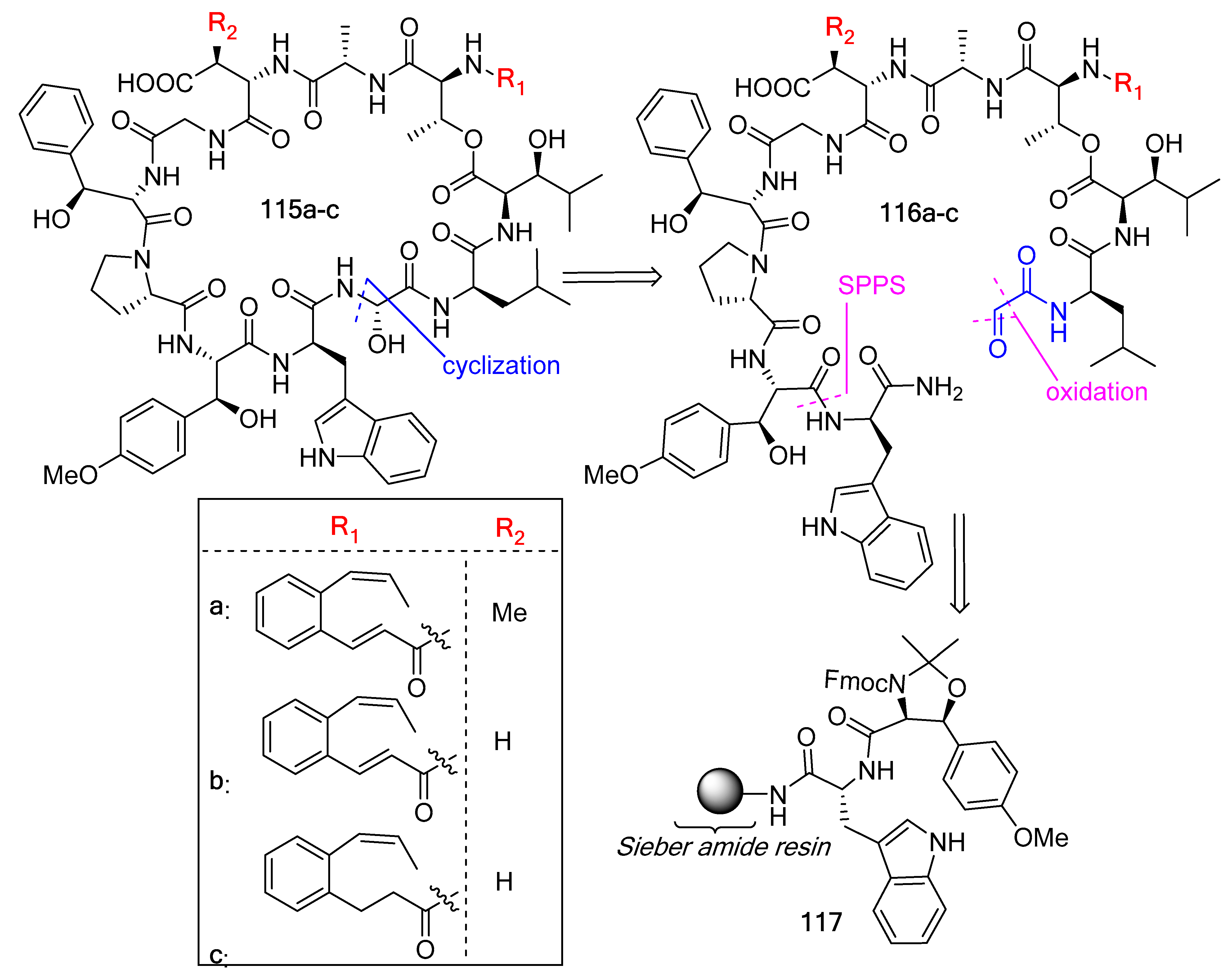 Biomedicines 13 00240 g031