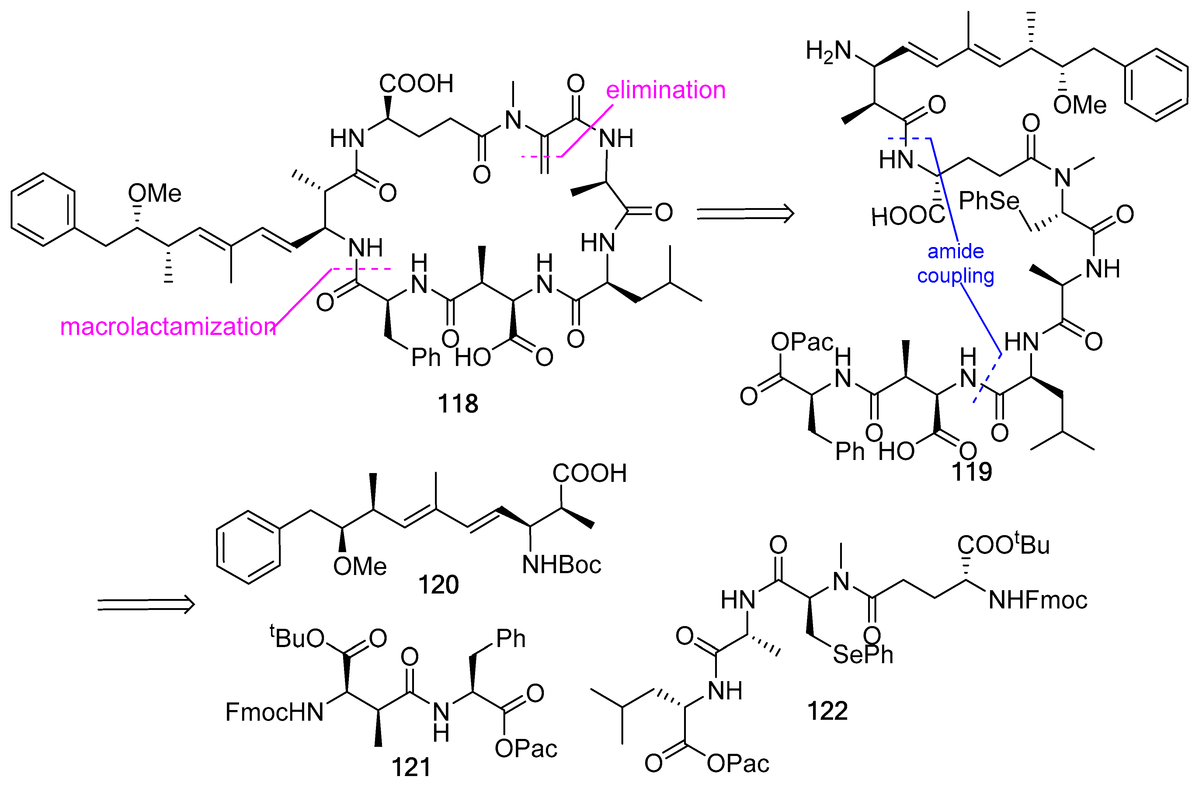 Biomedicines 13 00240 g032