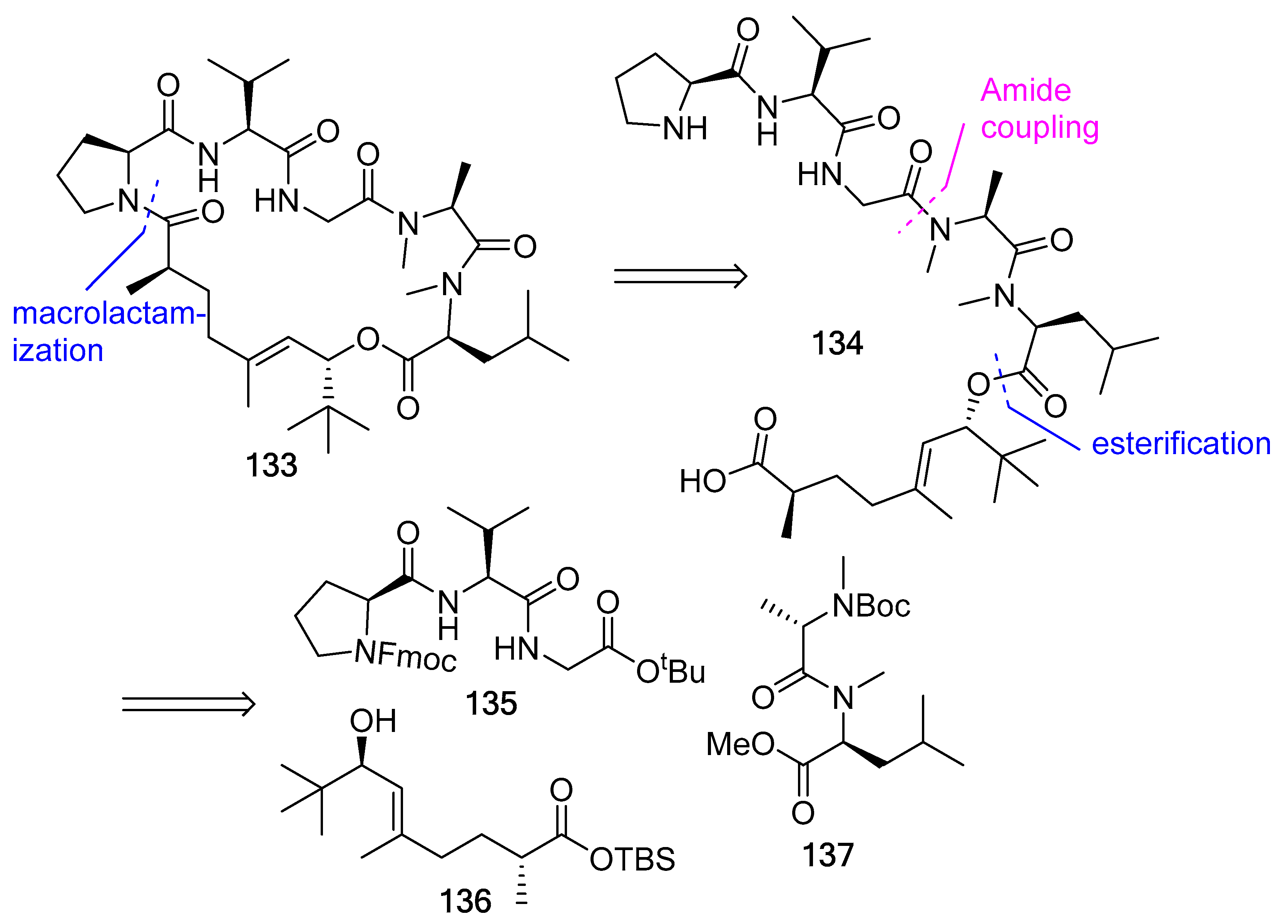 Biomedicines 13 00240 g036