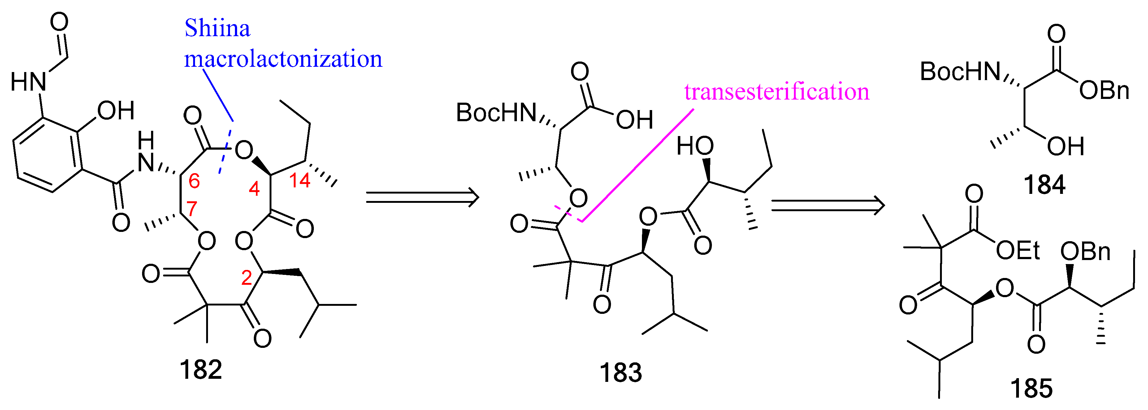 Biomedicines 13 00240 g048