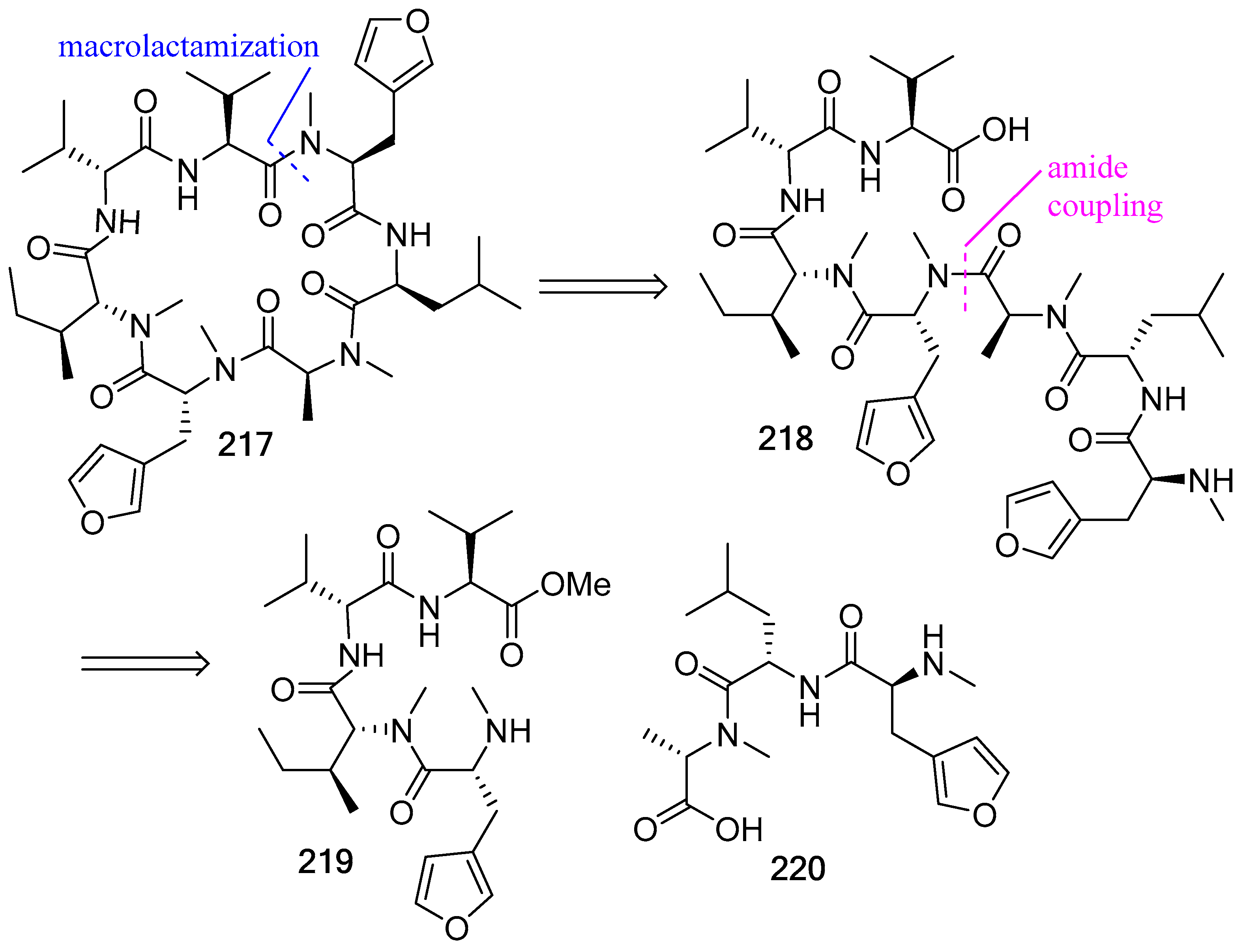 Biomedicines 13 00240 g058