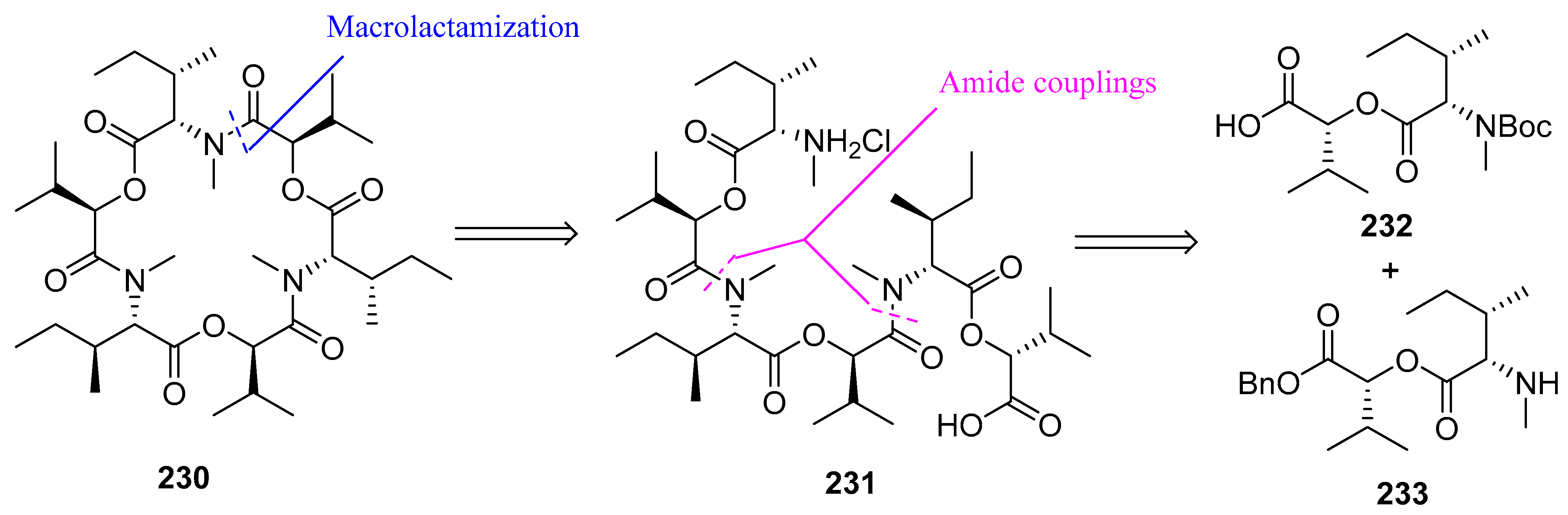 Biomedicines 13 00240 g061