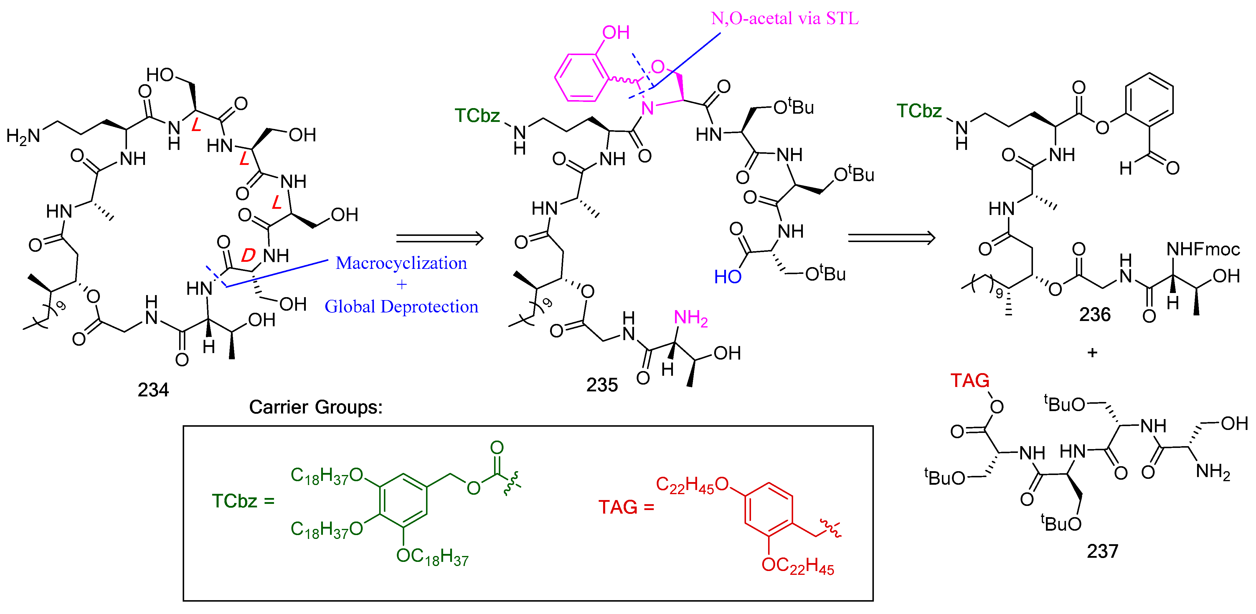 Biomedicines 13 00240 g062