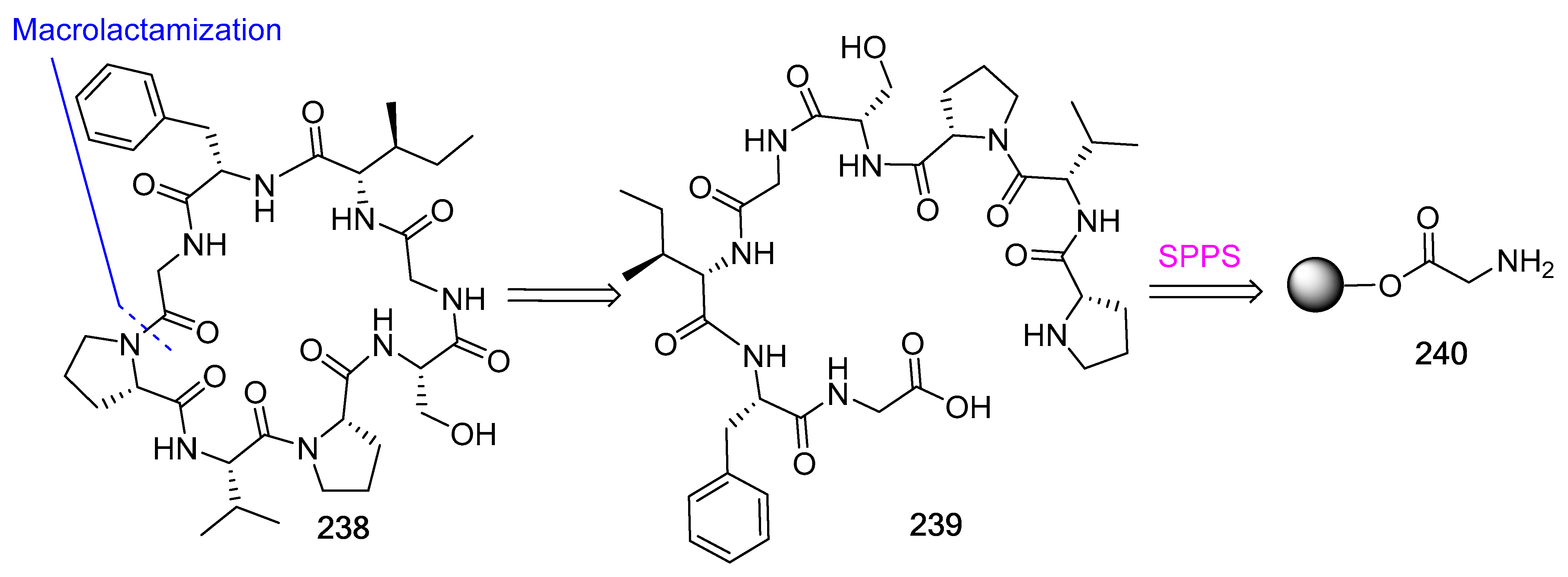 Biomedicines 13 00240 g063