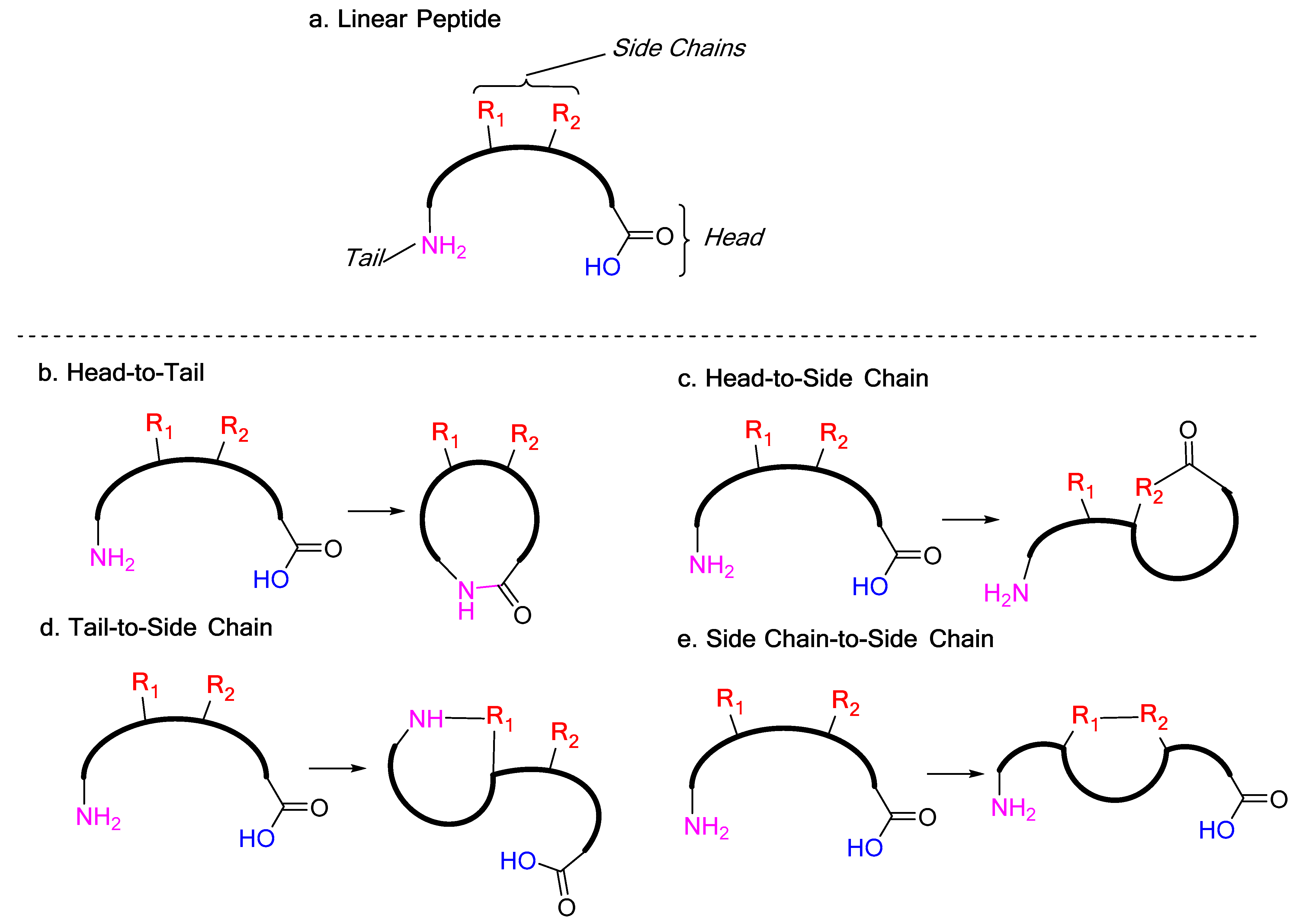Biomedicines 13 00240 sch001