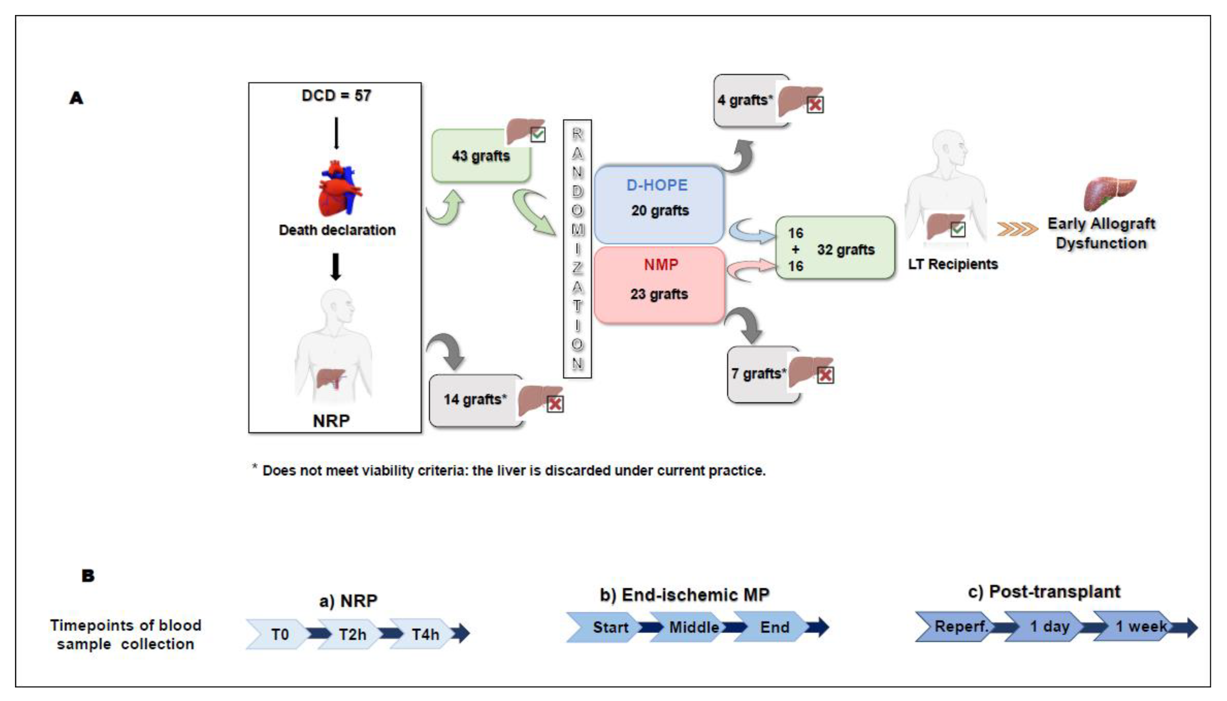 Biomedicines 13 00244 g001