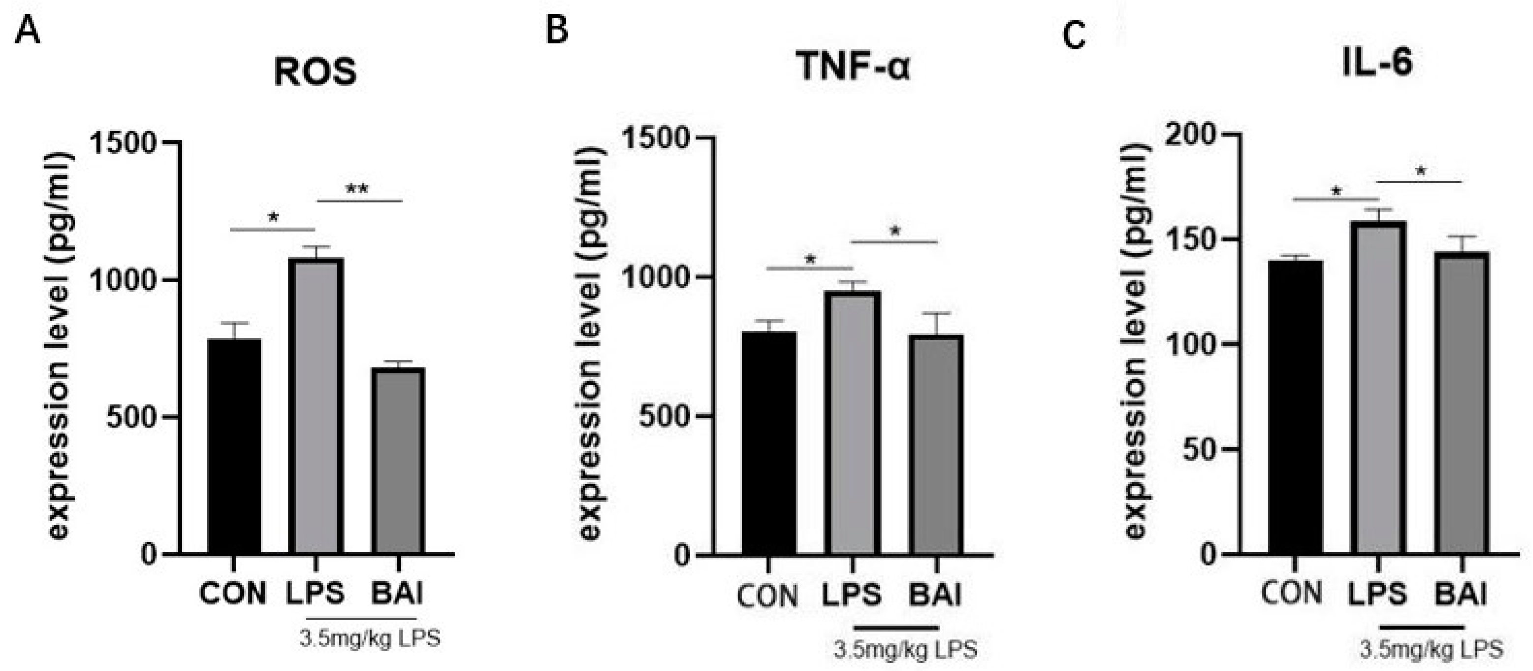 Biomedicines 13 00251 g001