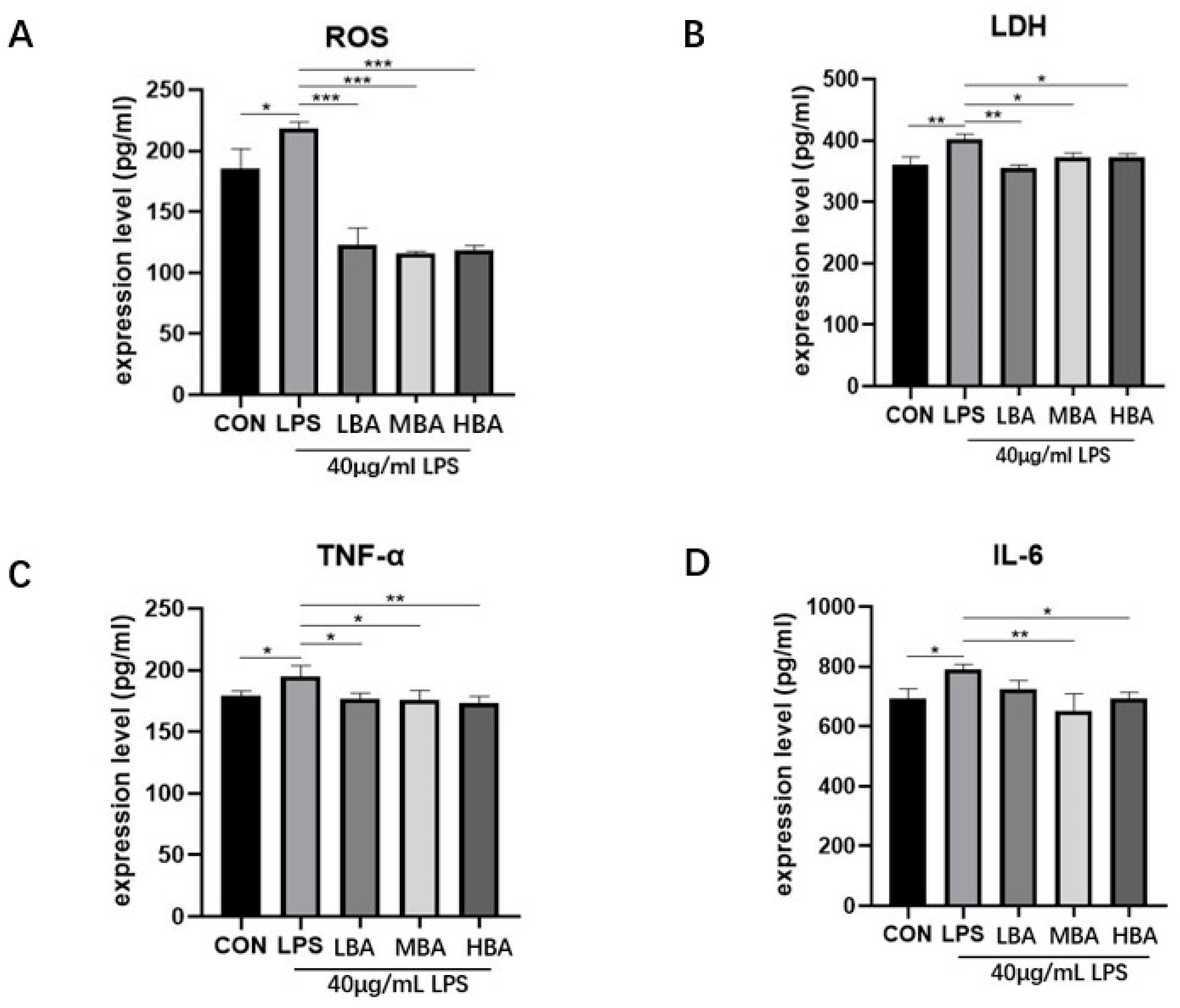 Biomedicines 13 00251 g006