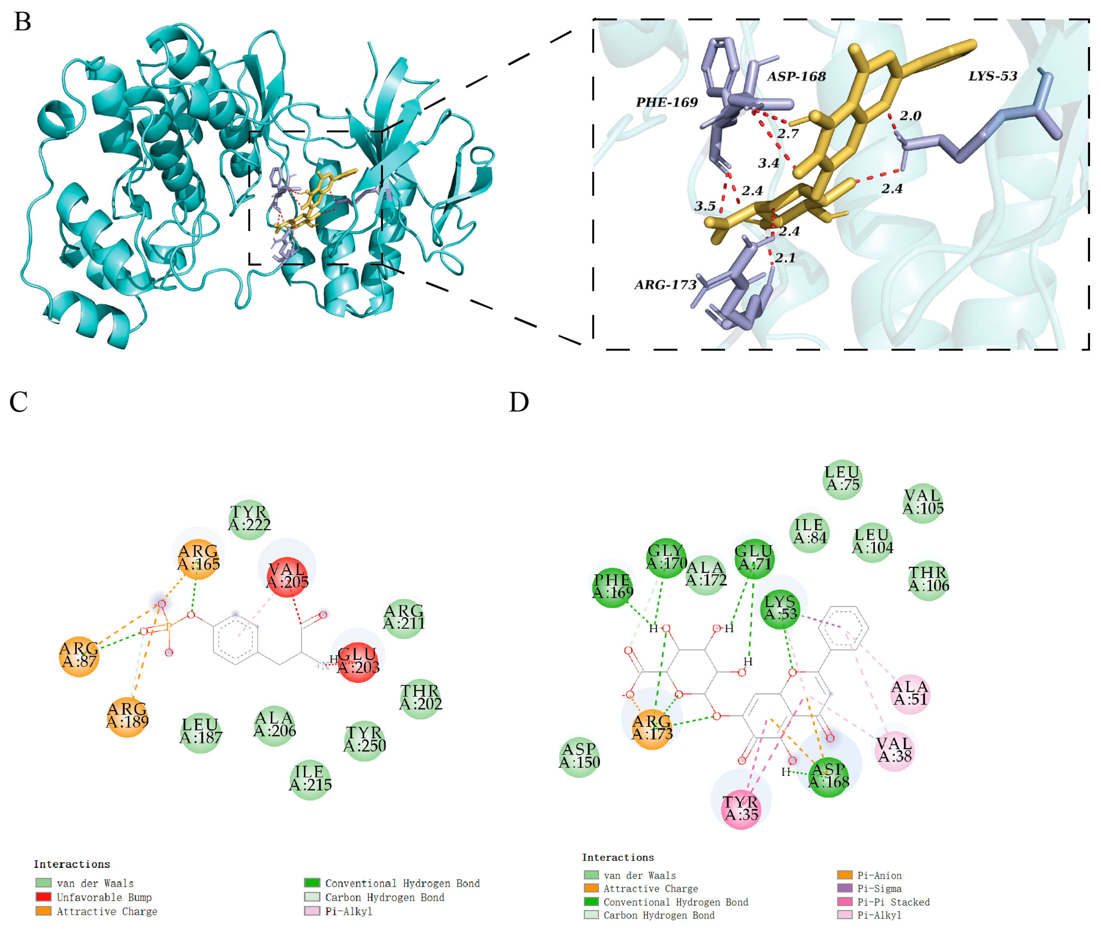 Biomedicines 13 00251 g008b