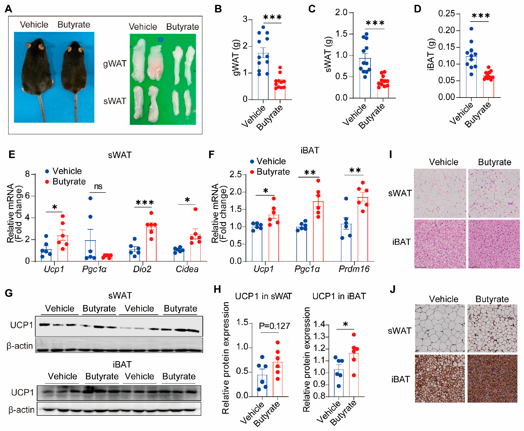 Biomedicines 13 00260 g003