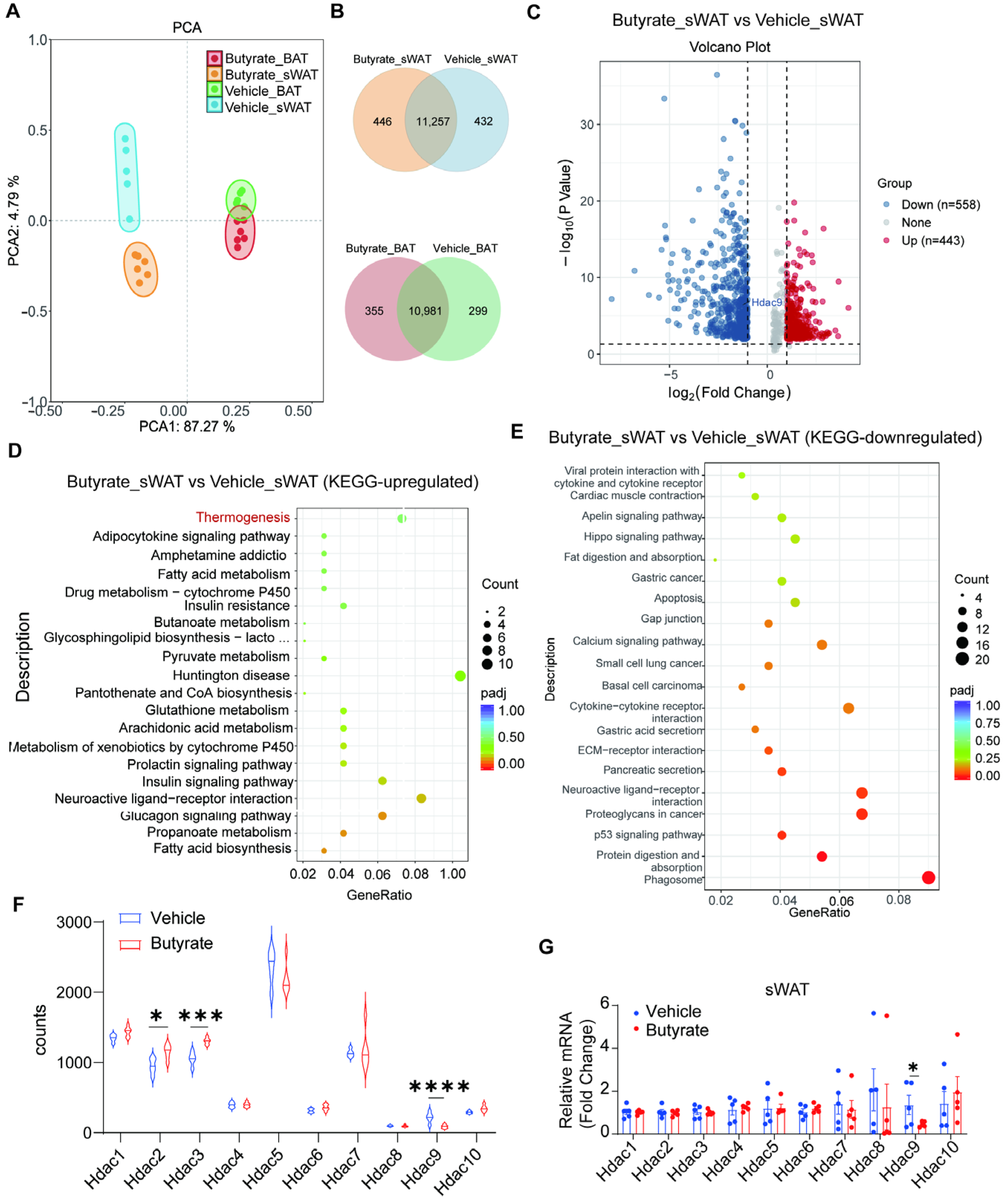 Biomedicines 13 00260 g004