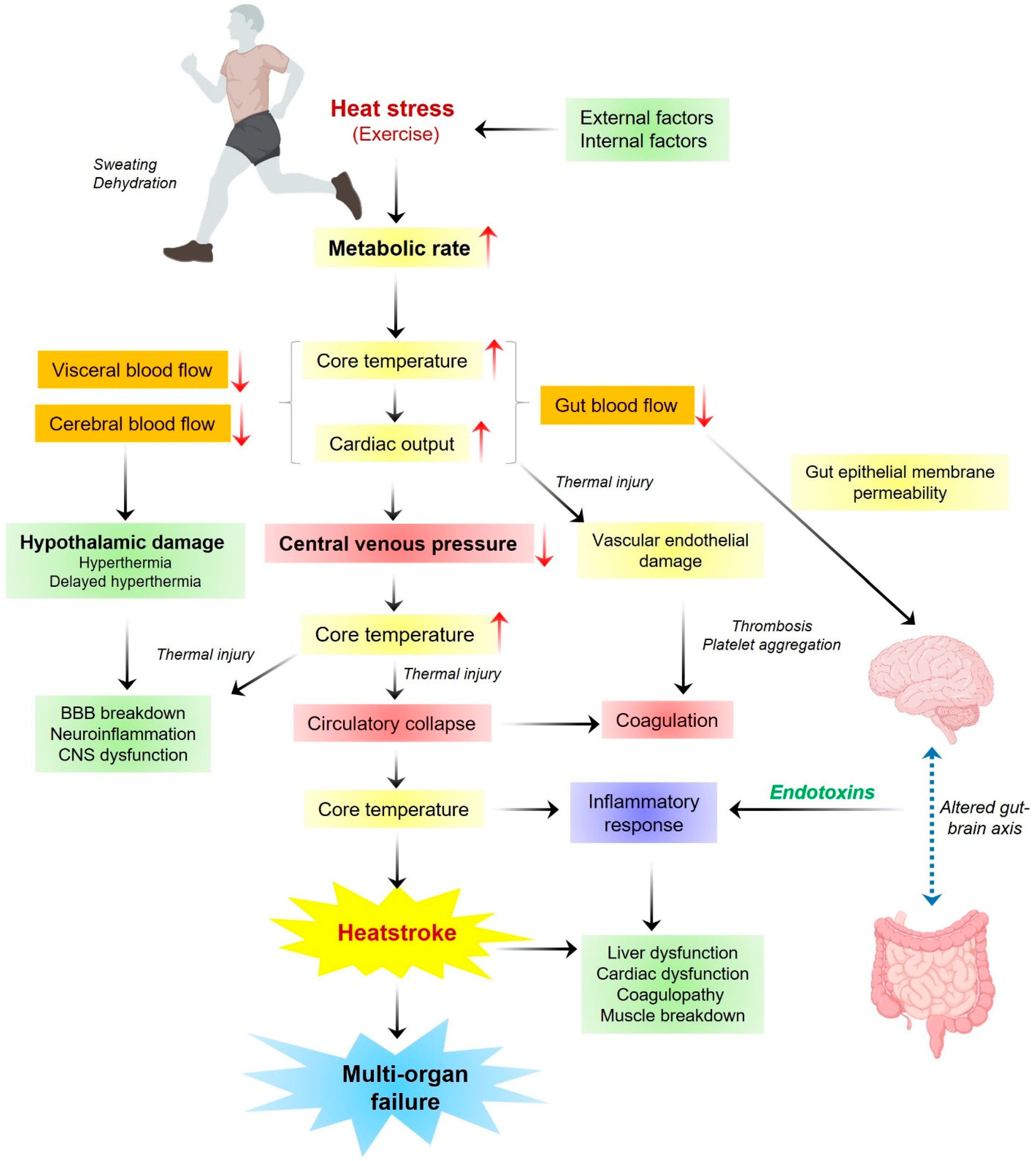 Biomedicines 13 00261 g002
