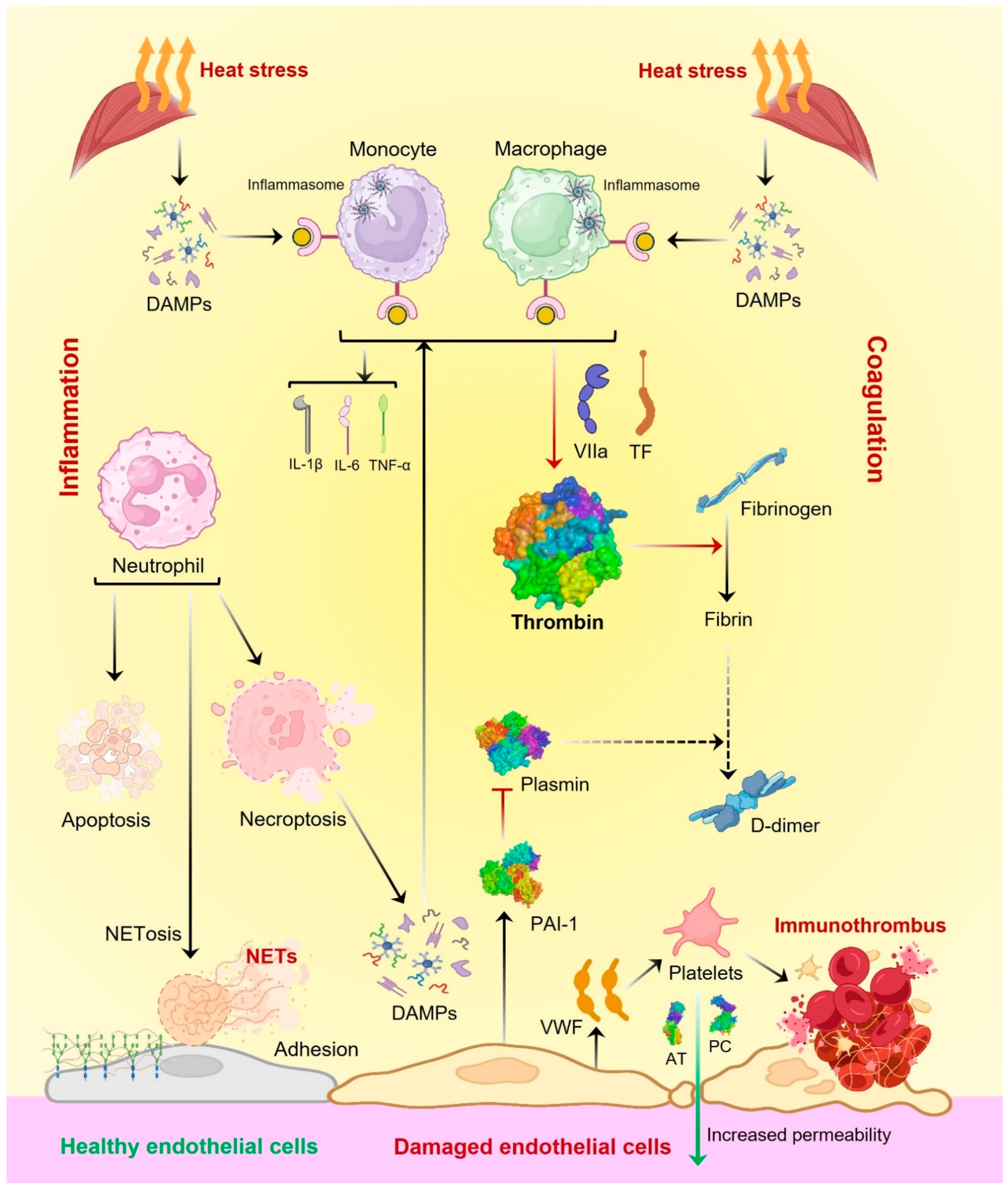 Biomedicines 13 00261 g003