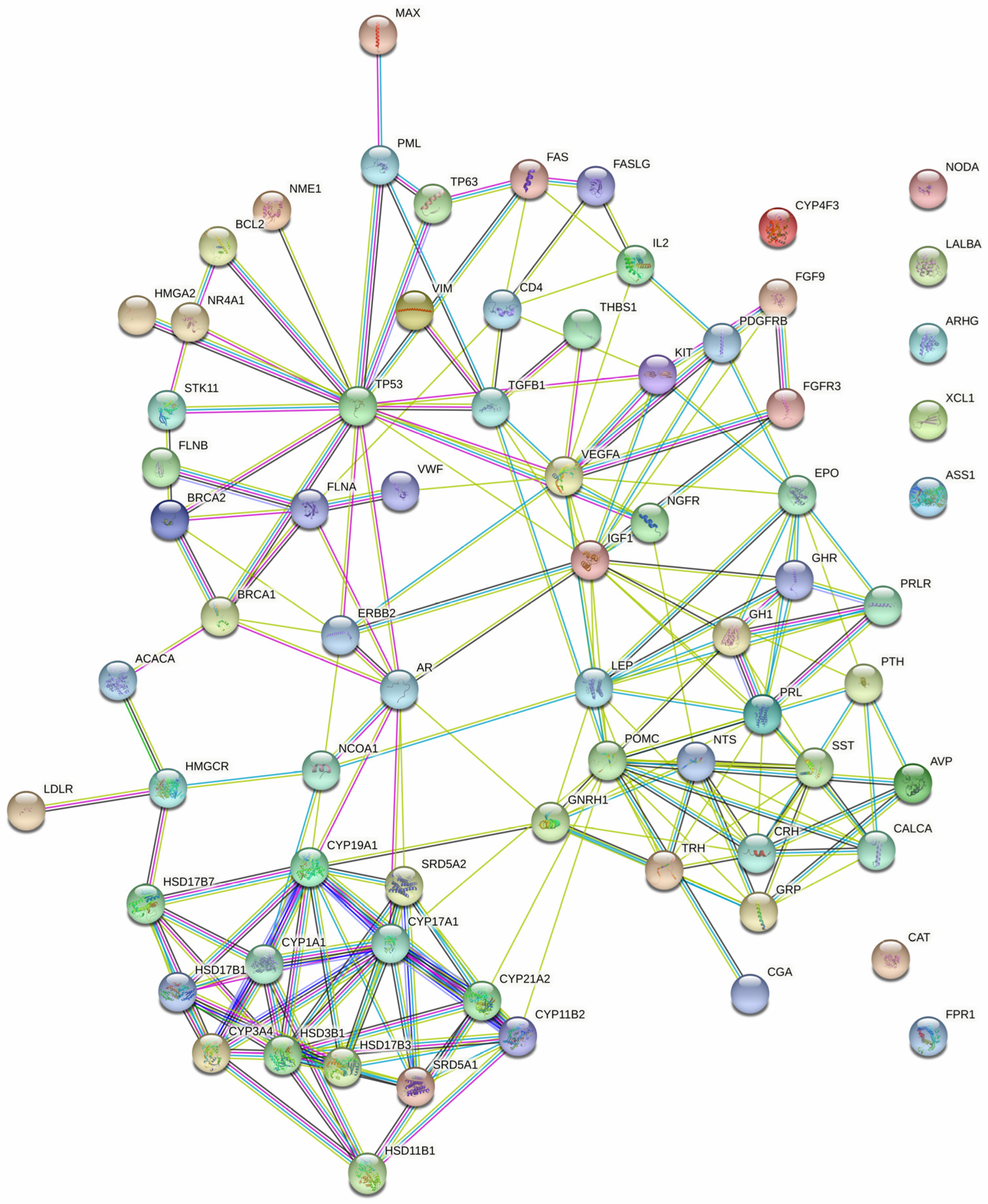 Biomedicines 13 00262 g002 Biomedicines 13 00262 g002