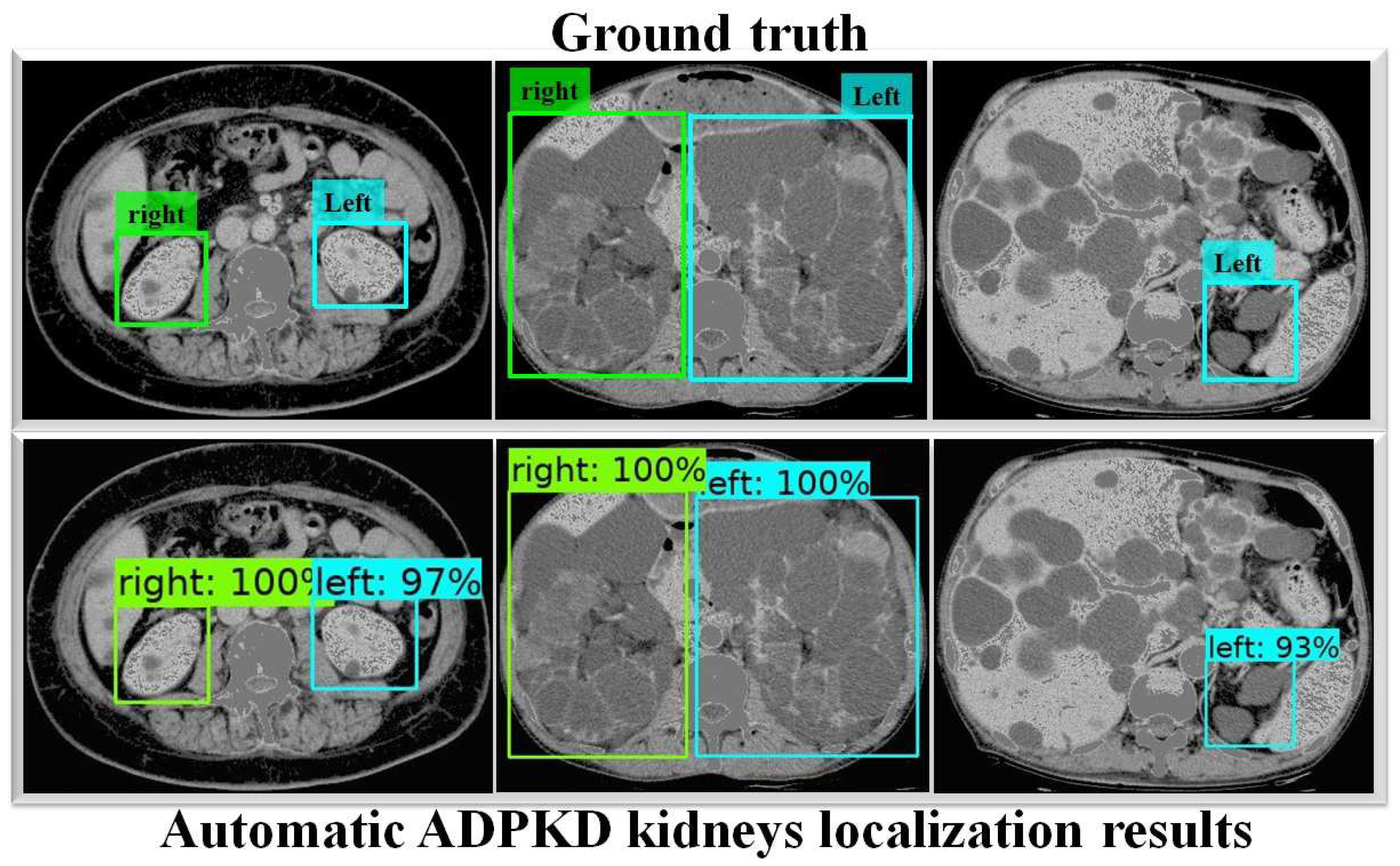 Biomedicines 13 00263 g009