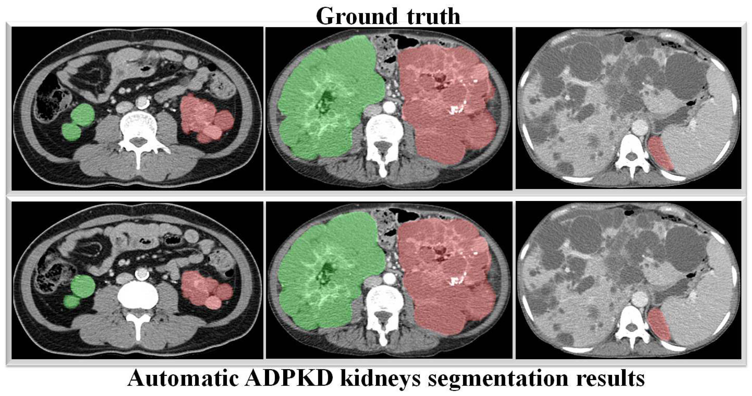 Biomedicines 13 00263 g013