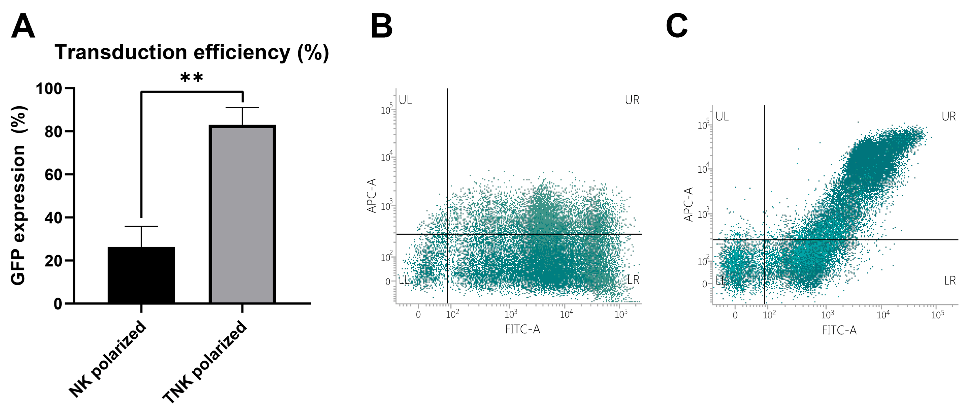 Biomedicines 13 00264 g003