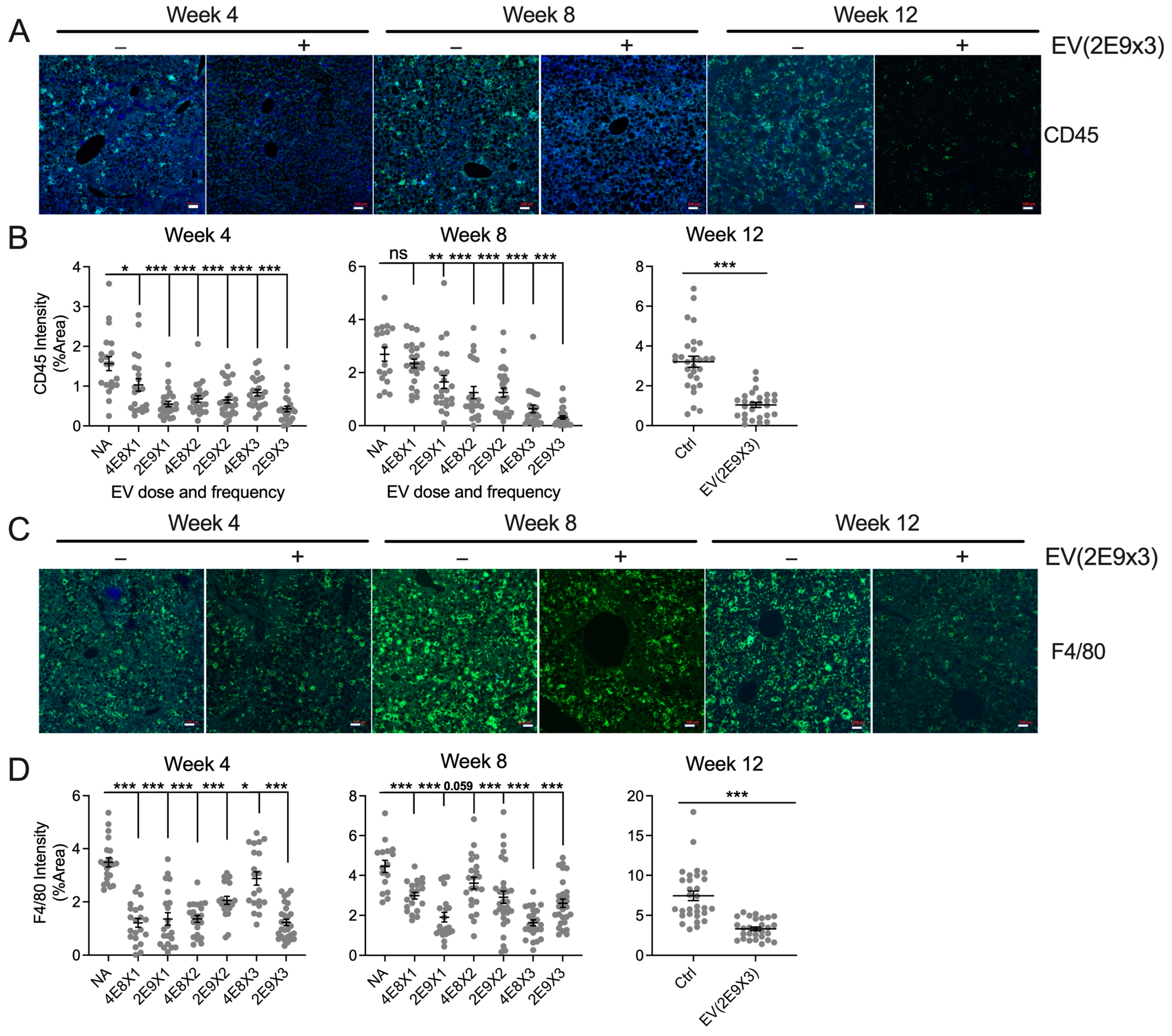 Biomedicines 13 00274 g003