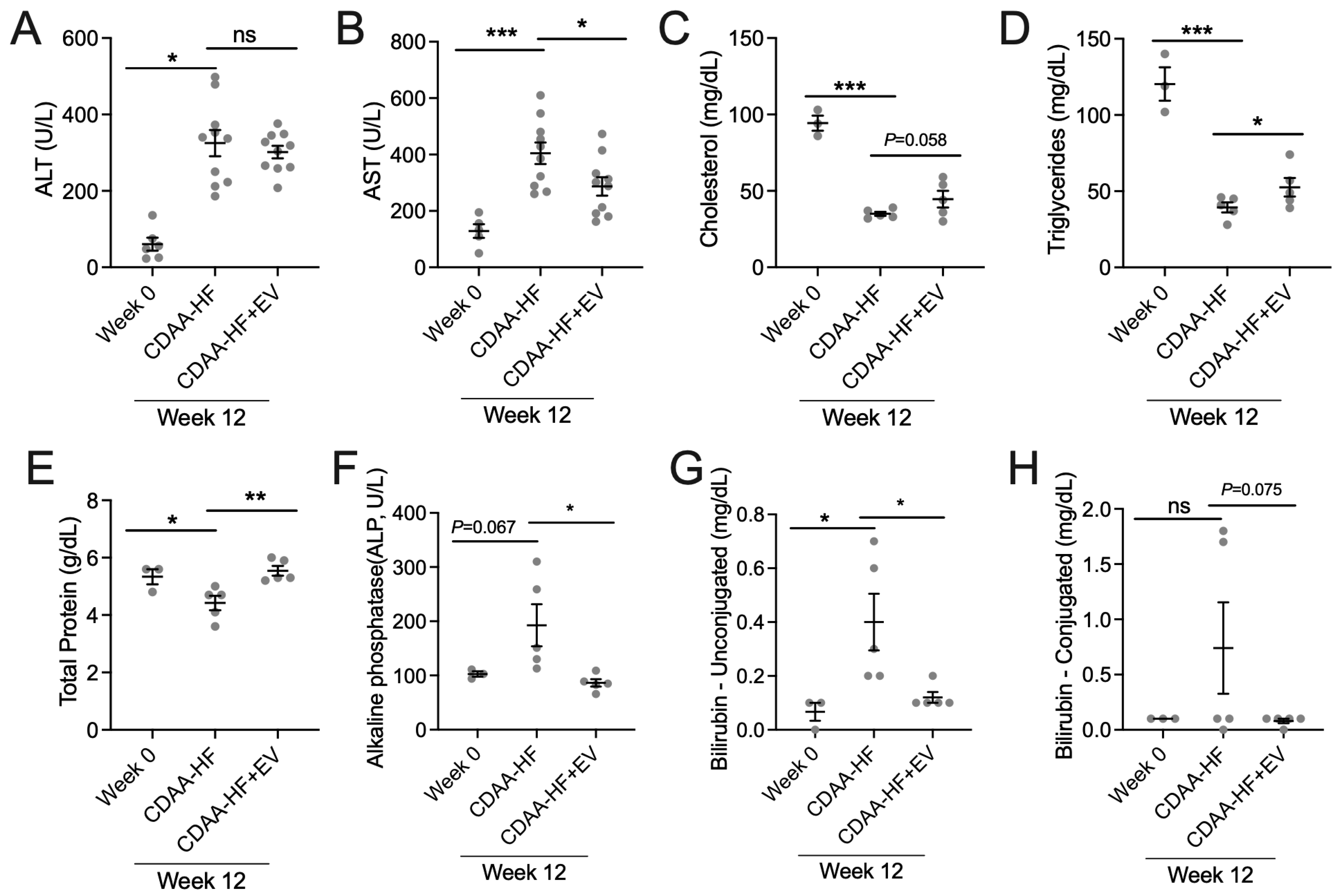 Biomedicines 13 00274 g004