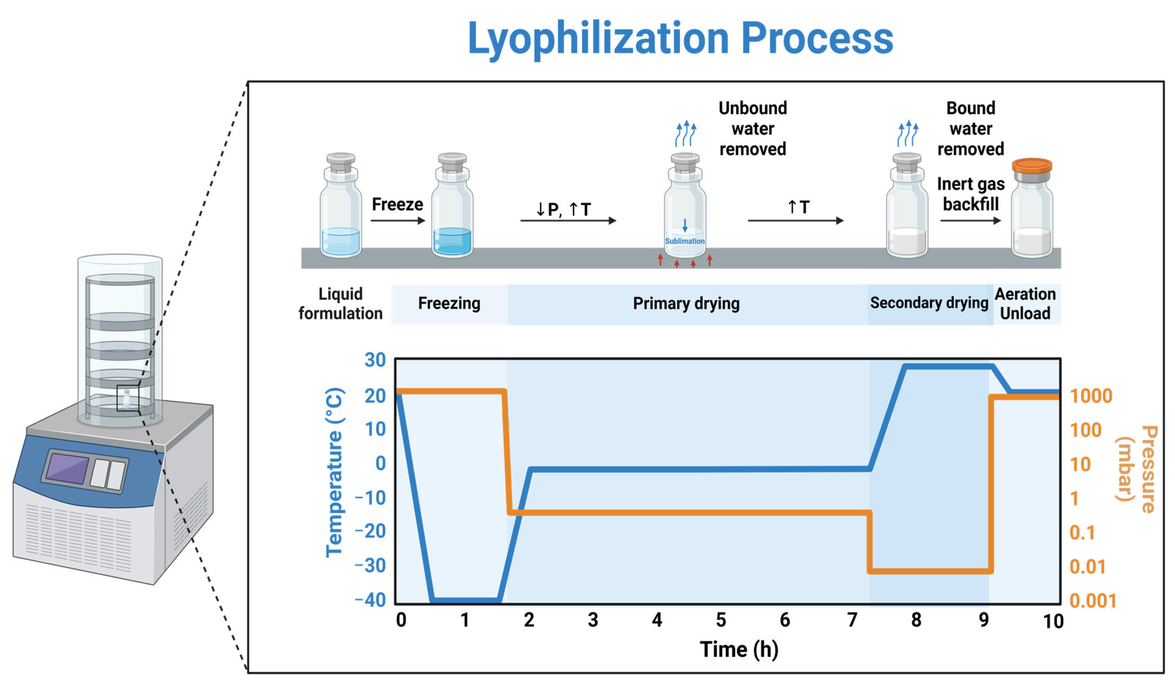 Biomedicines 13 00275 g001