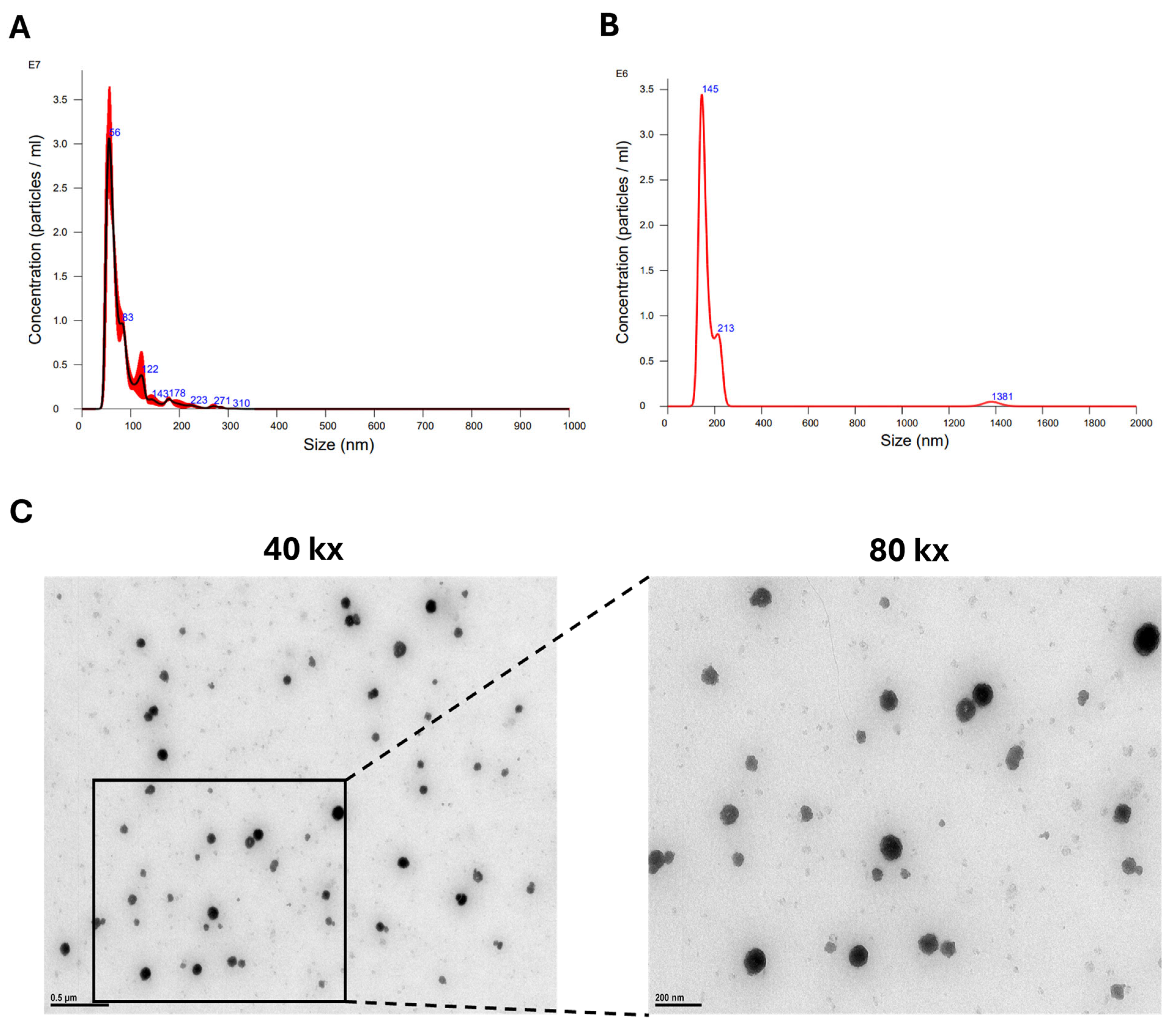 Biomedicines 13 00275 g002
