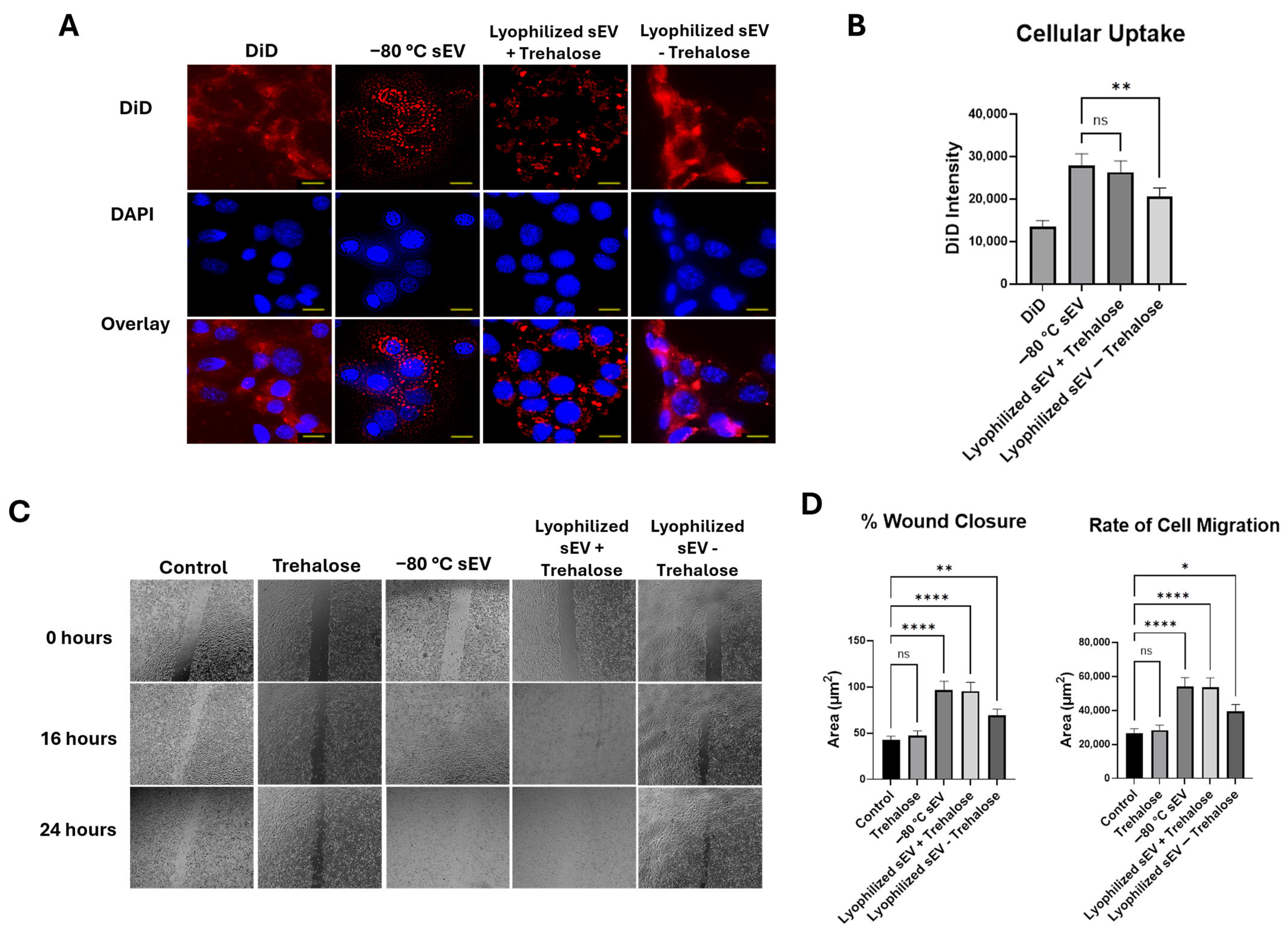 Biomedicines 13 00275 g004