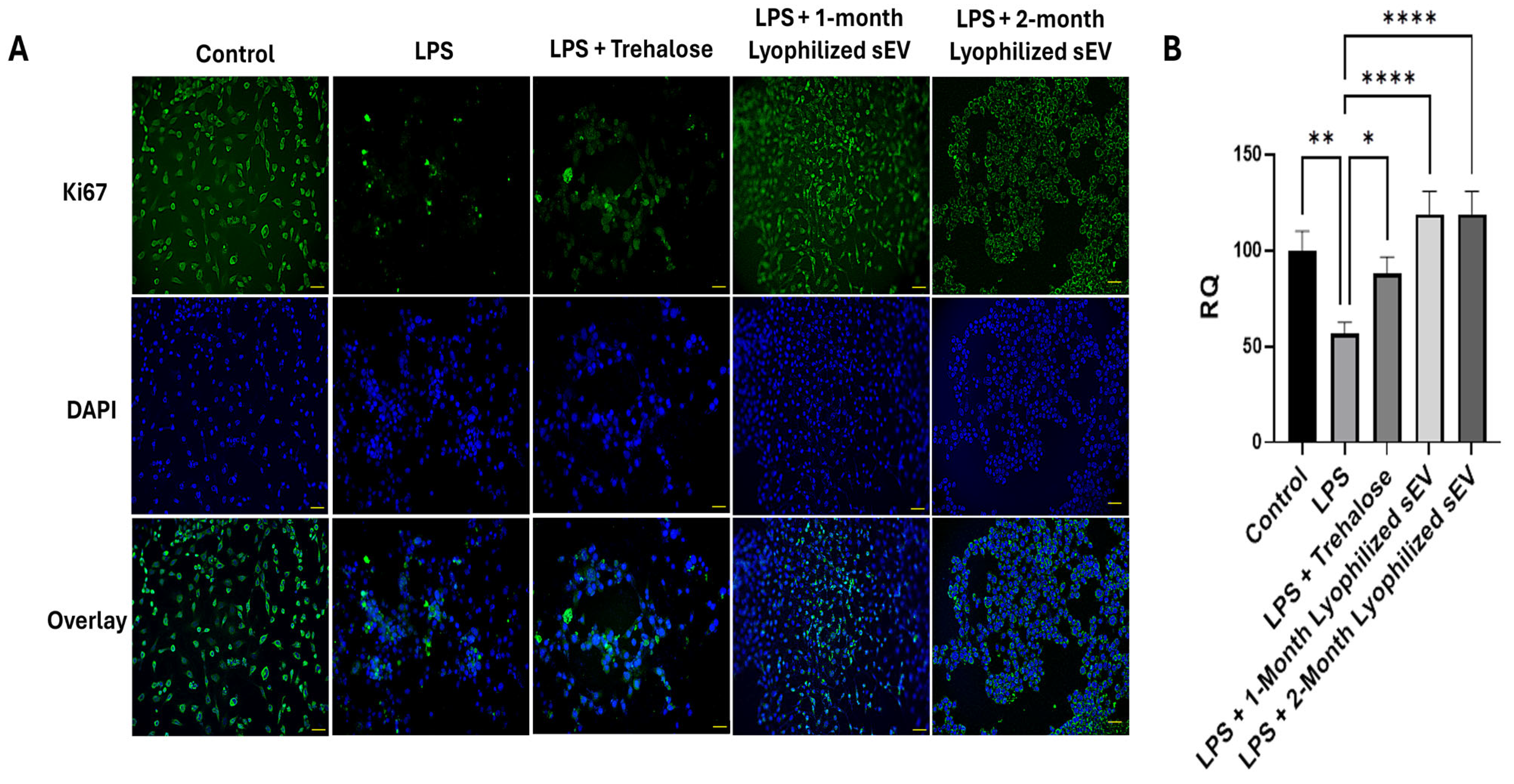 Biomedicines 13 00275 g007