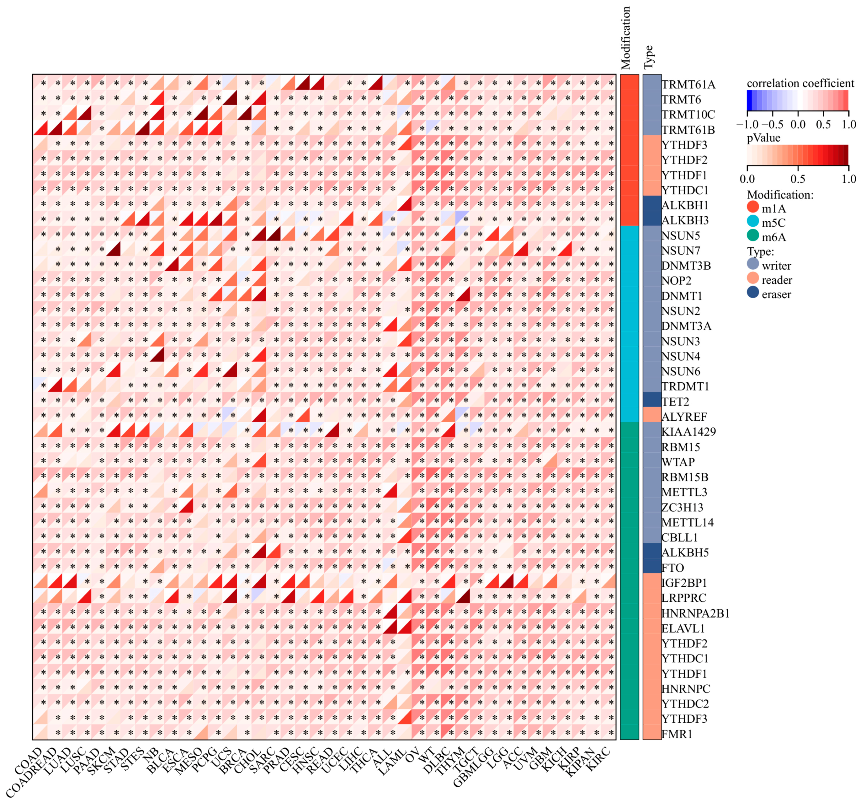 Biomedicines 13 00276 g011