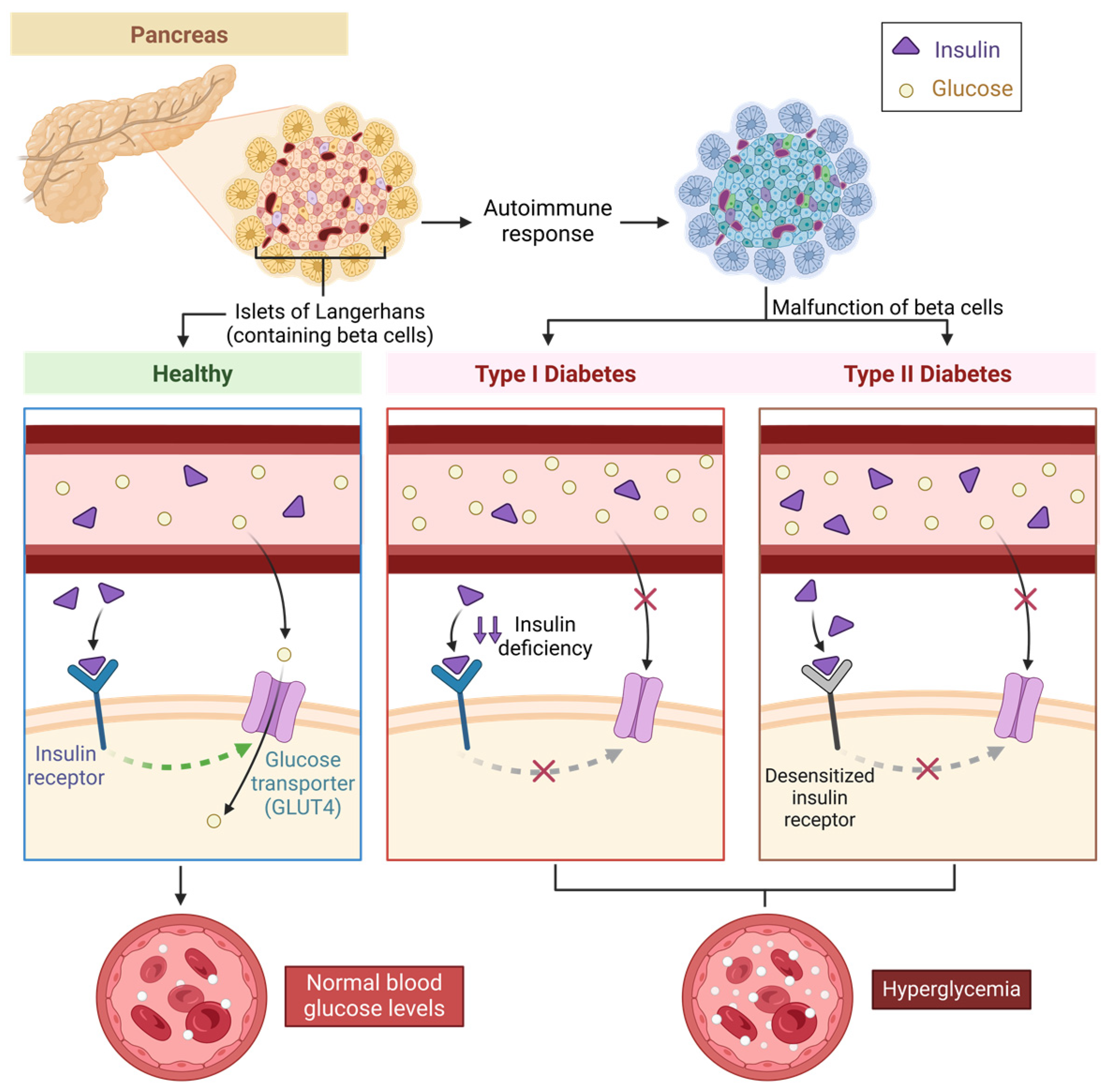 Biomedicines 13 00277 g002