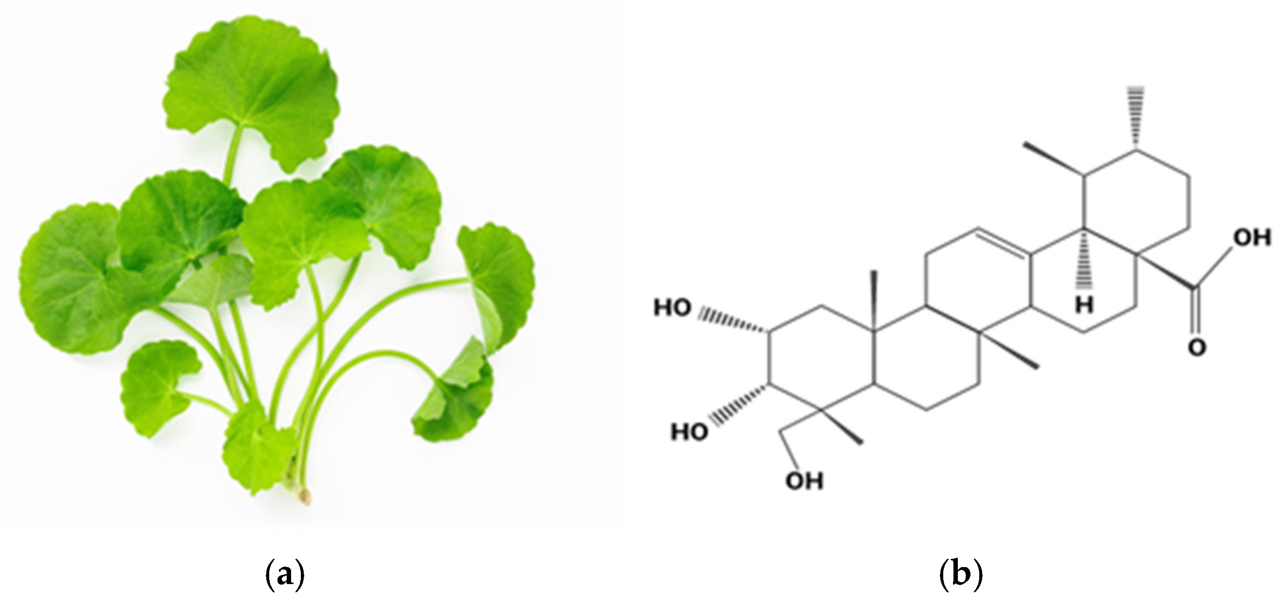 Biomedicines 13 00277 g005