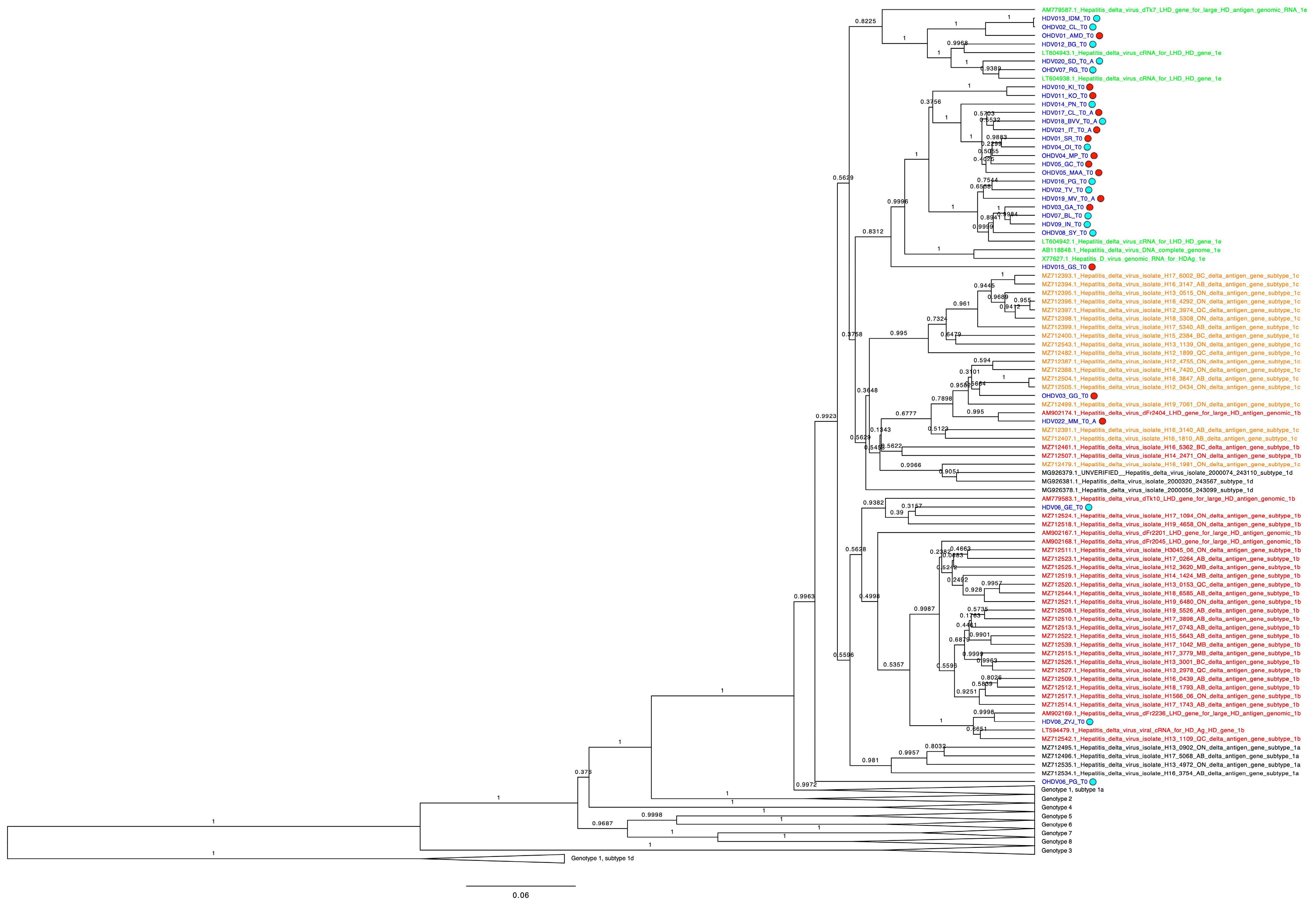 Biomedicines 13 00280 g003 Biomedicines 13 00280 g003
