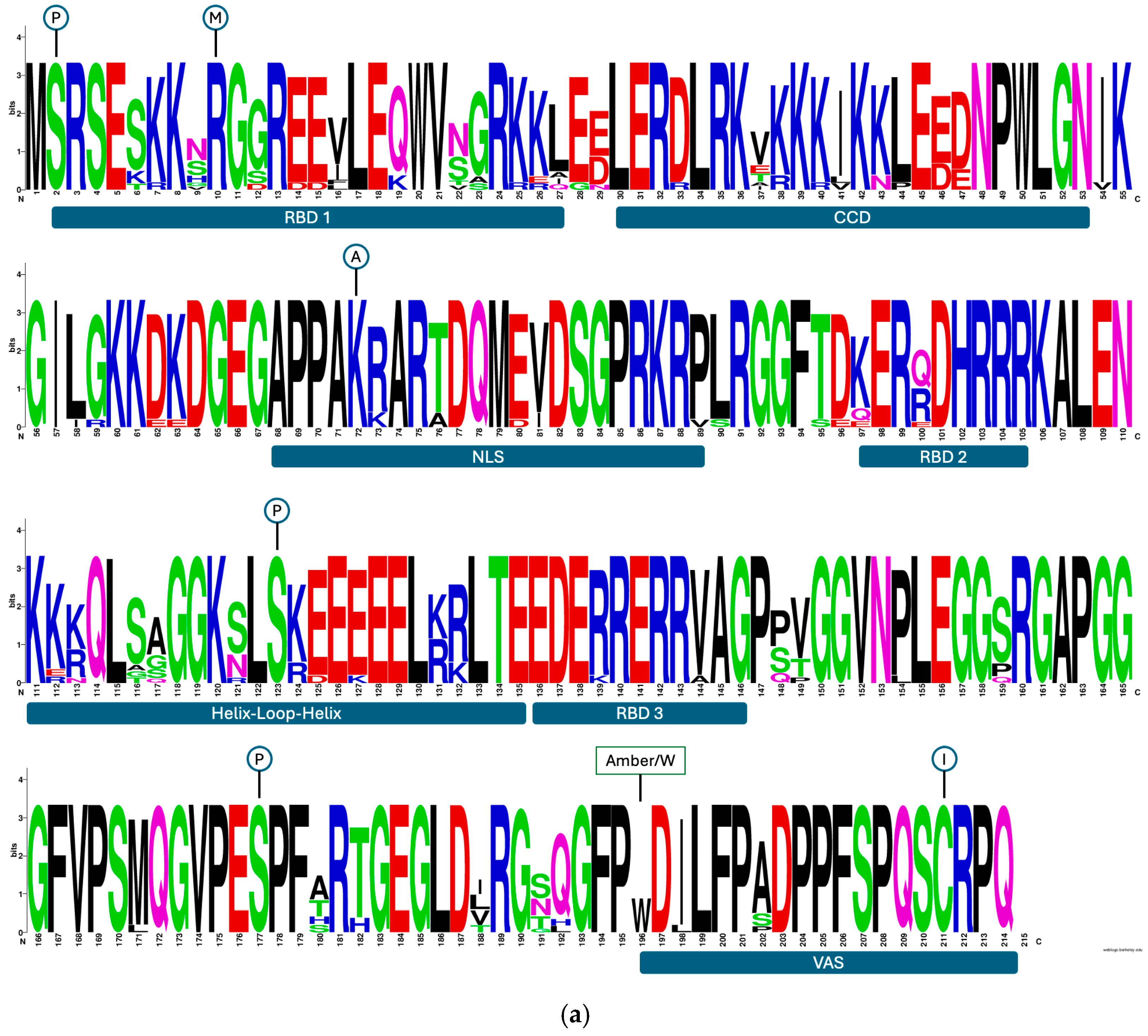 Biomedicines 13 00280 g004a Biomedicines 13 00280 g004a