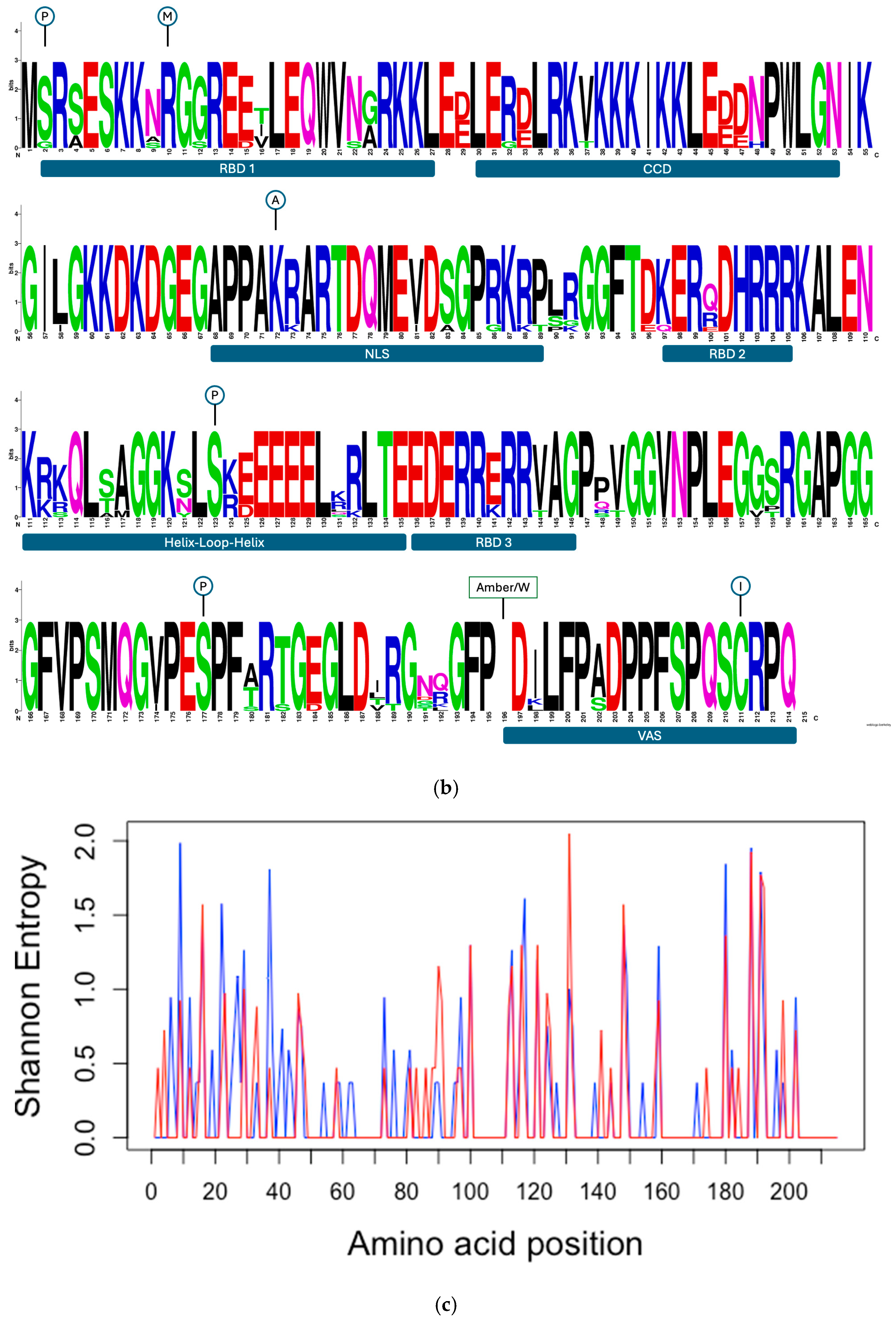 Biomedicines 13 00280 g004b Biomedicines 13 00280 g004b