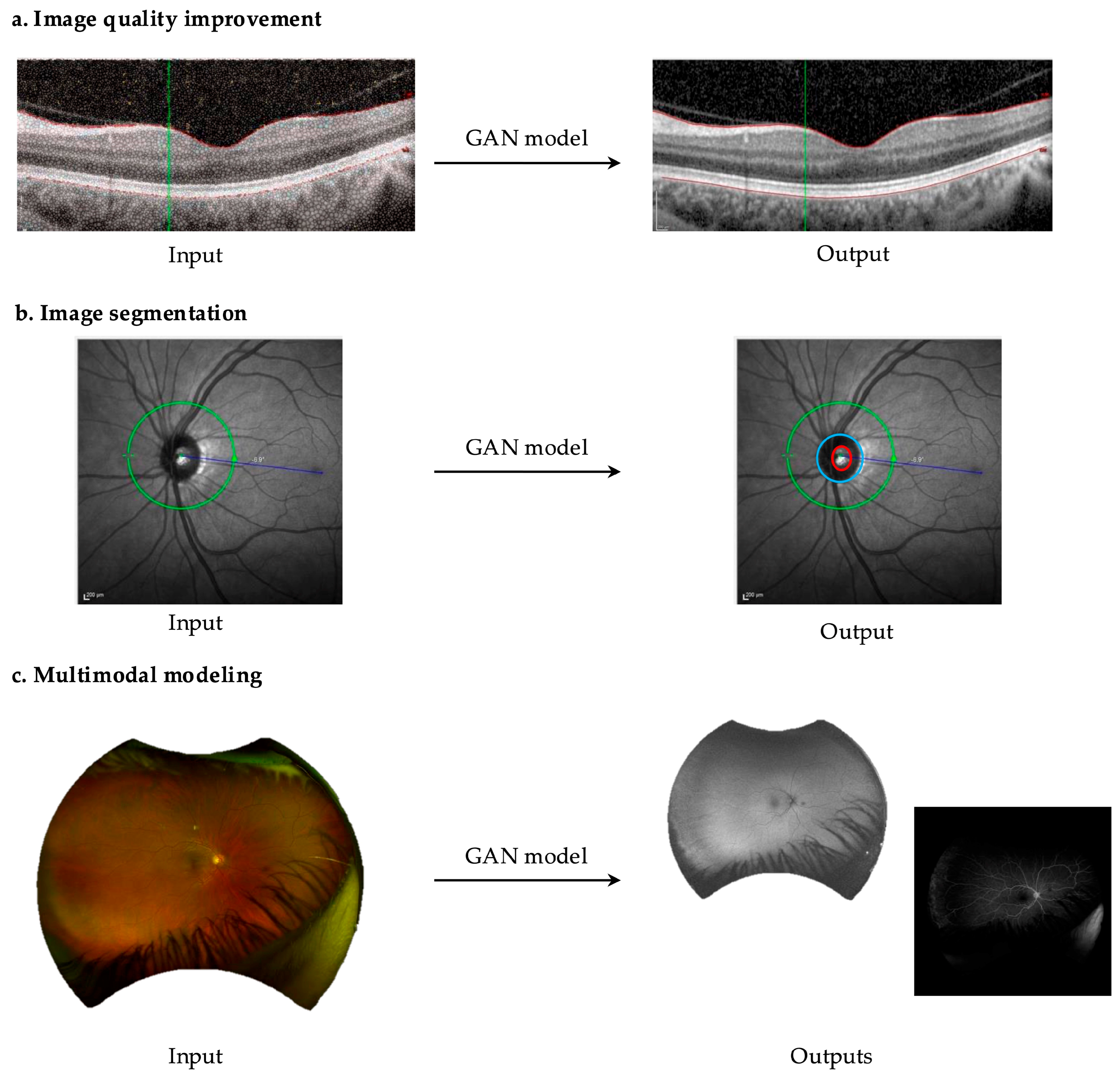 Biomedicines 13 00284 g001
