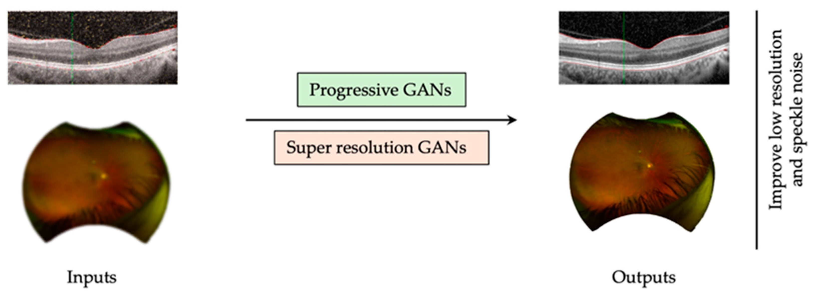 Biomedicines 13 00284 g003