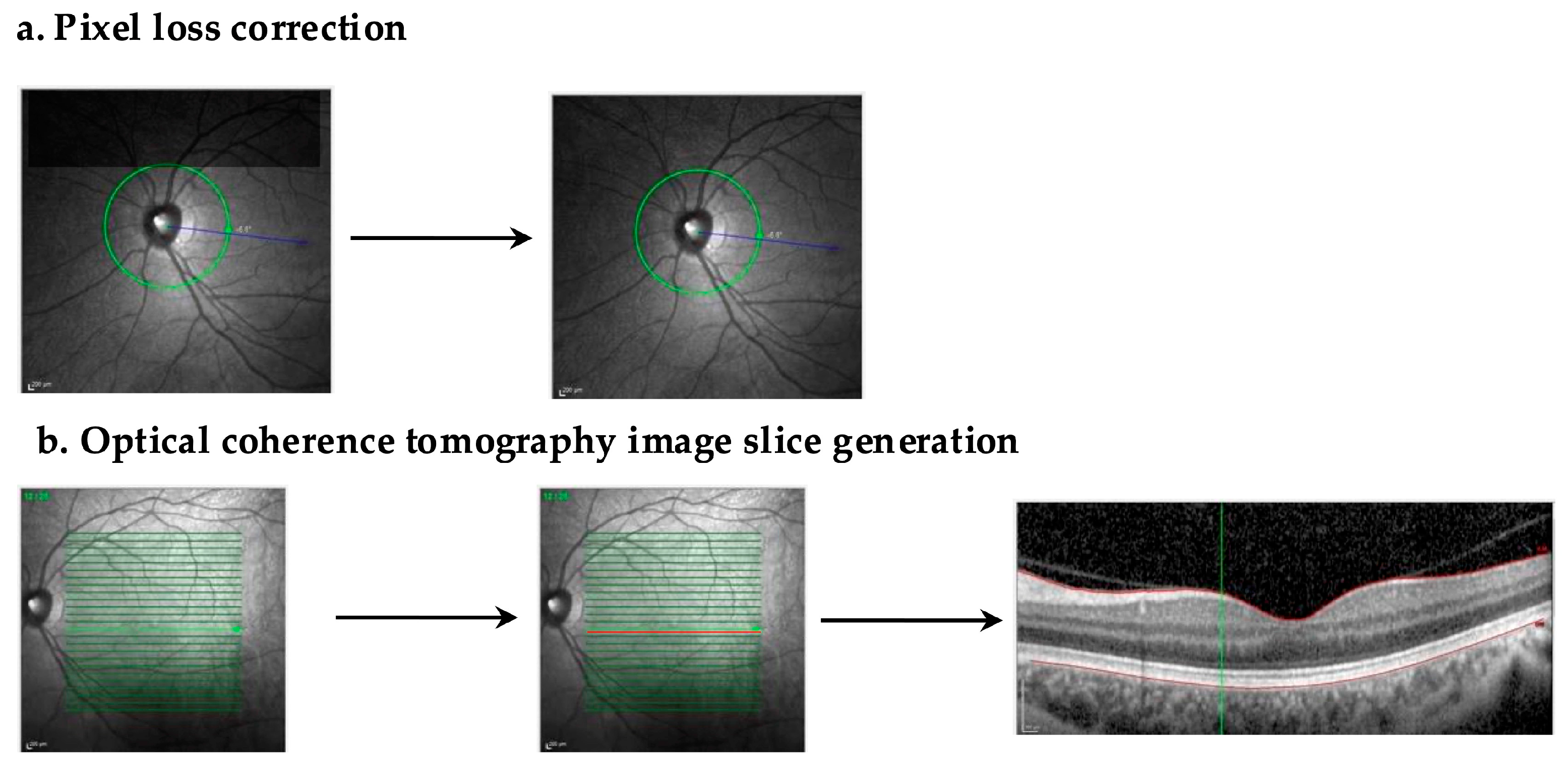 Biomedicines 13 00284 g004