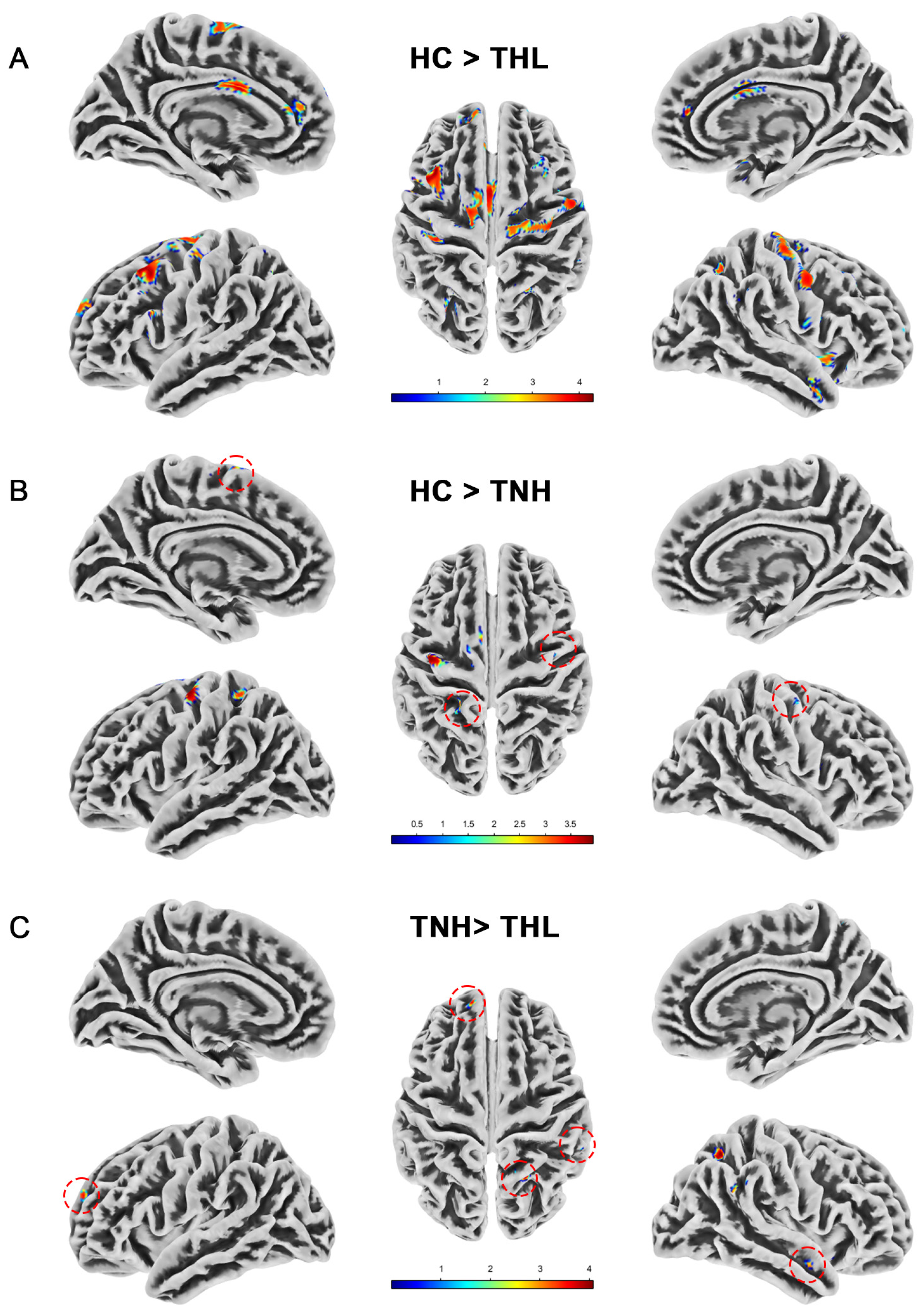 Biomedicines 13 00286 g001