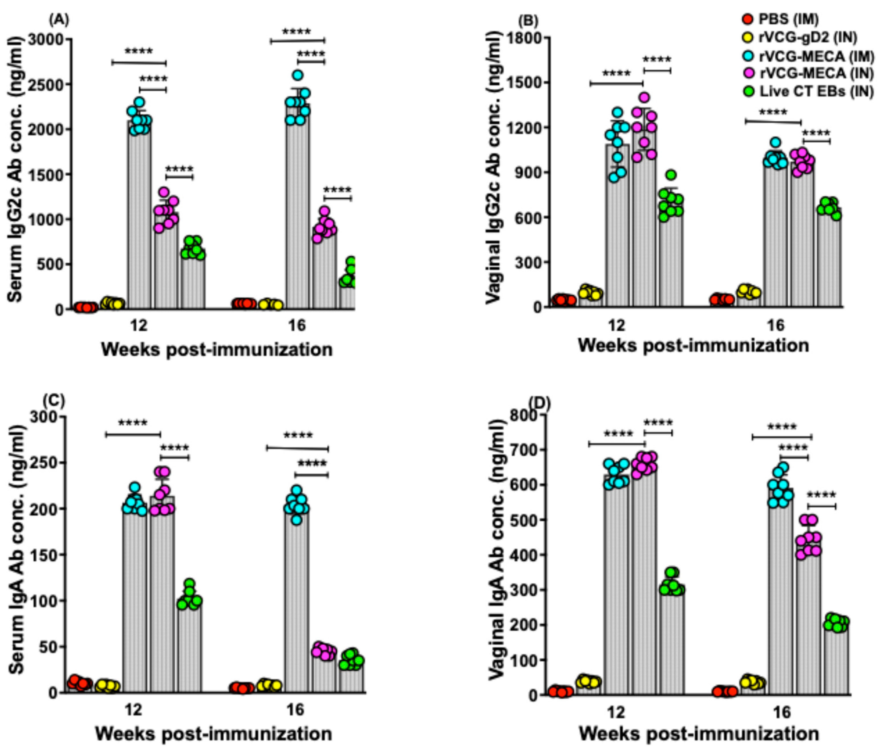 Biomedicines 13 00288 g005 Biomedicines 13 00288 g005