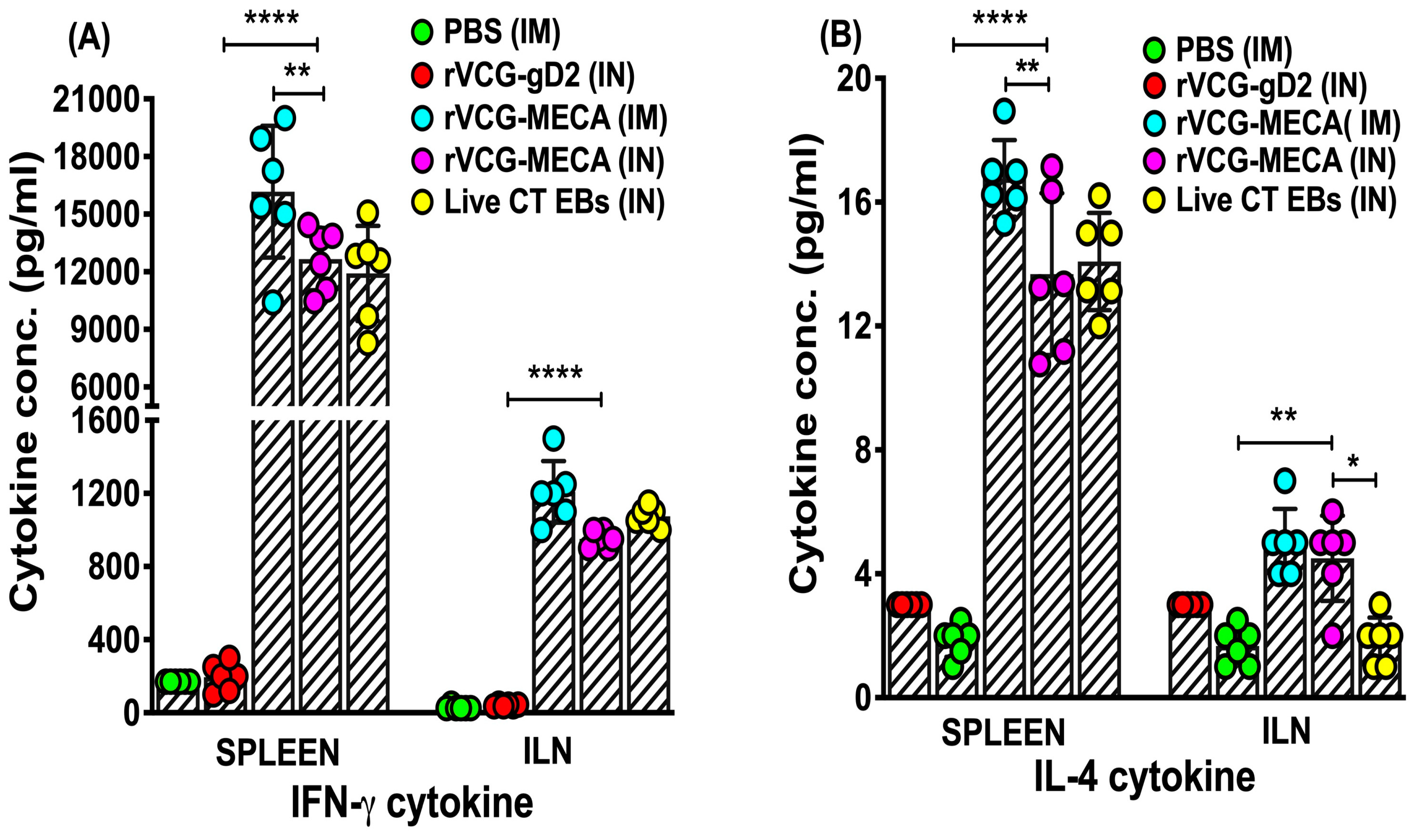 Biomedicines 13 00288 g007 Biomedicines 13 00288 g007
