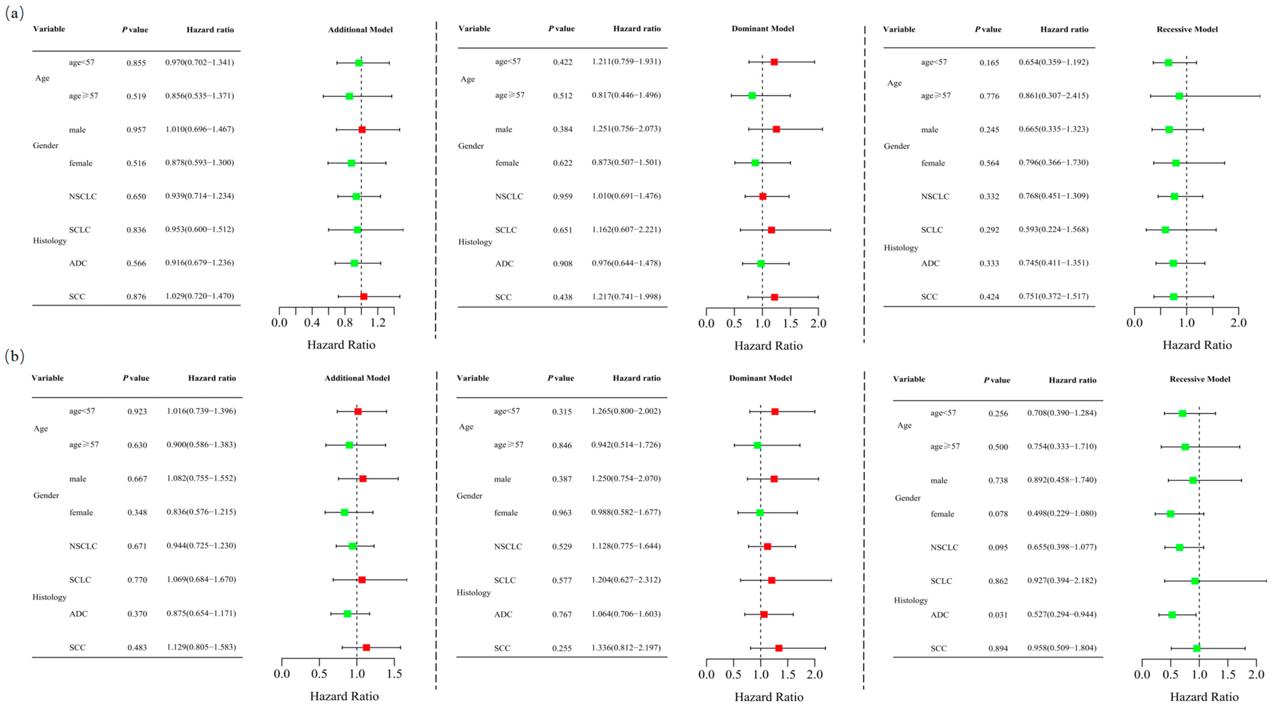 Biomedicines 13 00291 g001