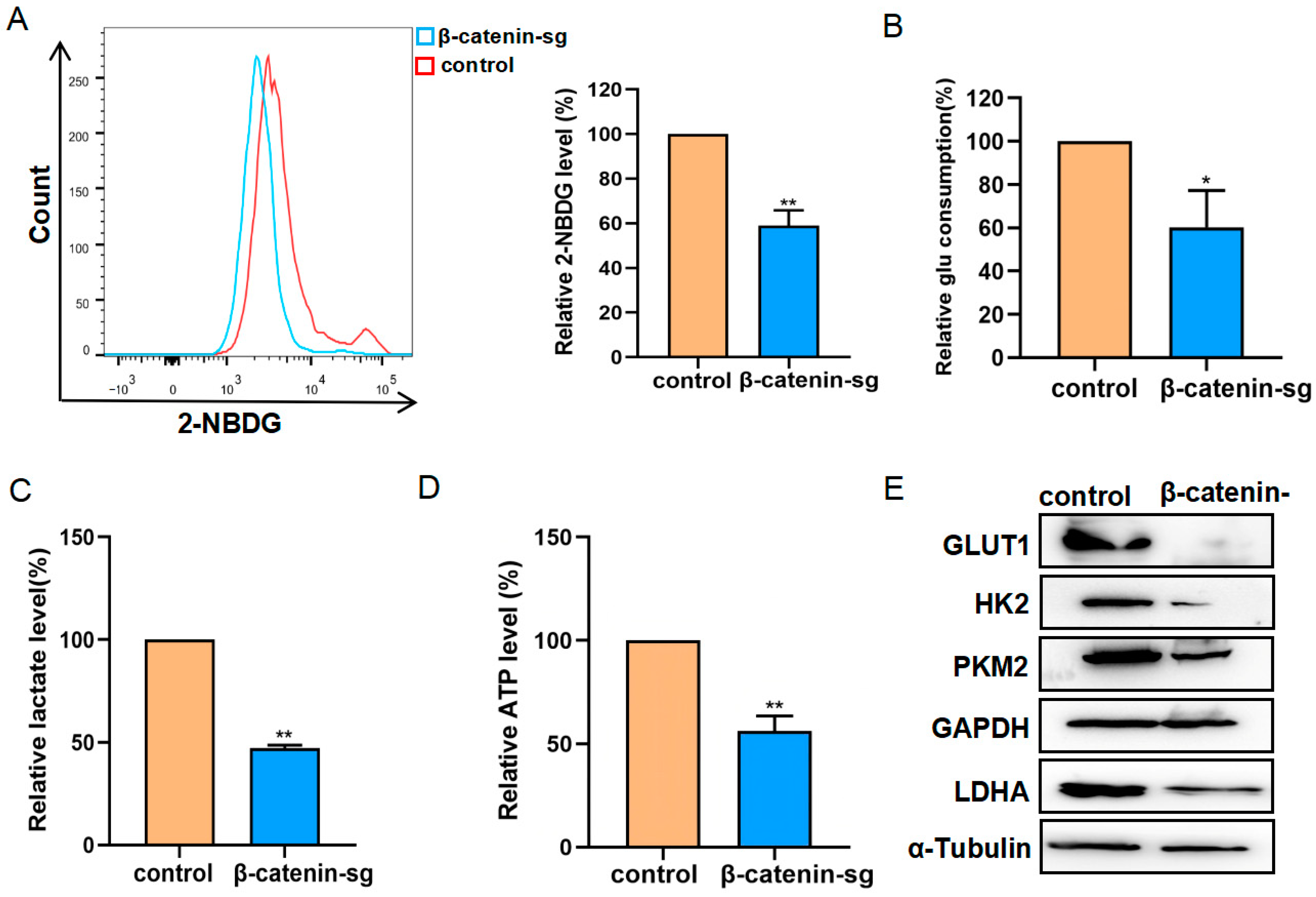 Biomedicines 13 00292 g003 Biomedicines 13 00292 g003