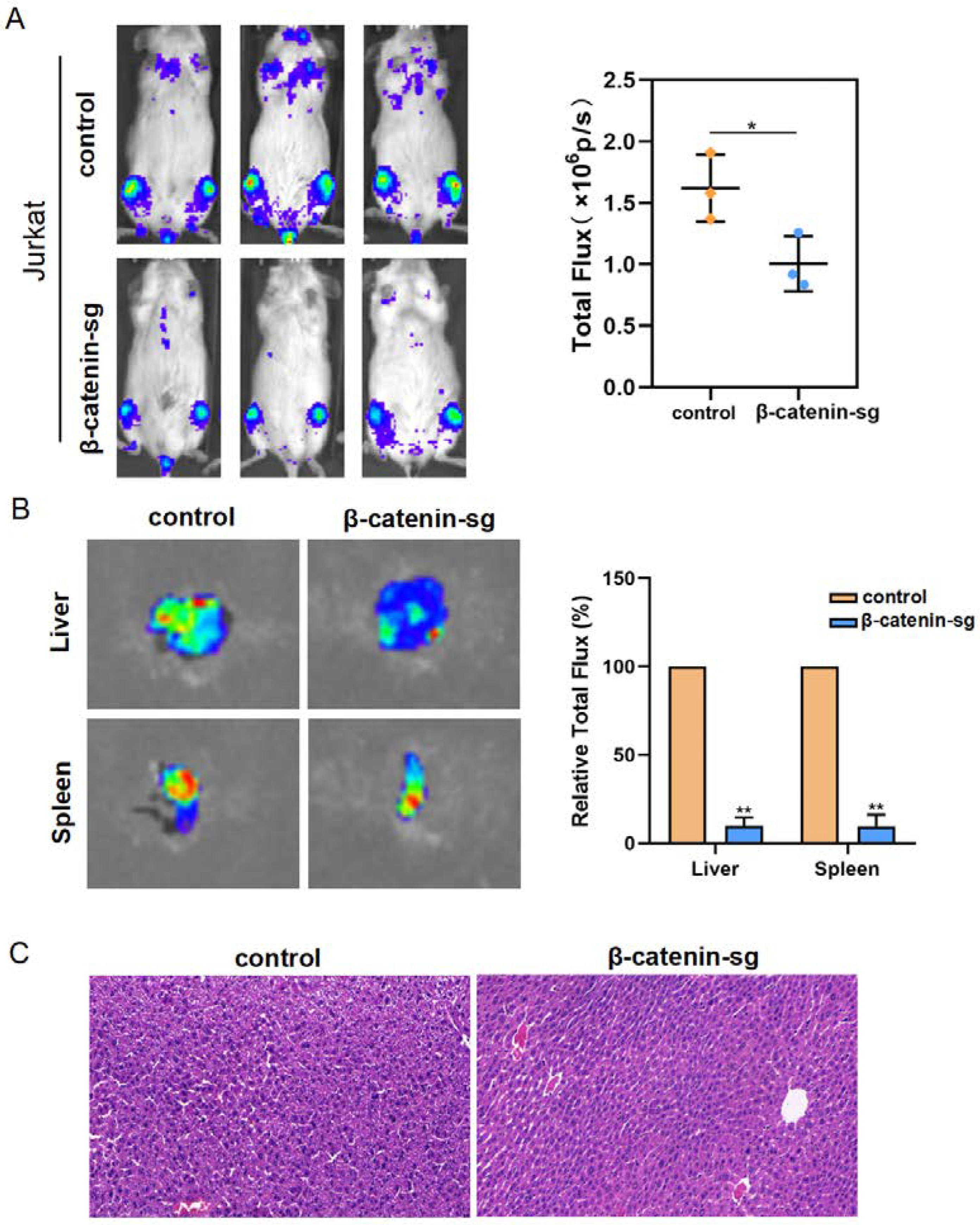 Biomedicines 13 00292 g005 Biomedicines 13 00292 g005