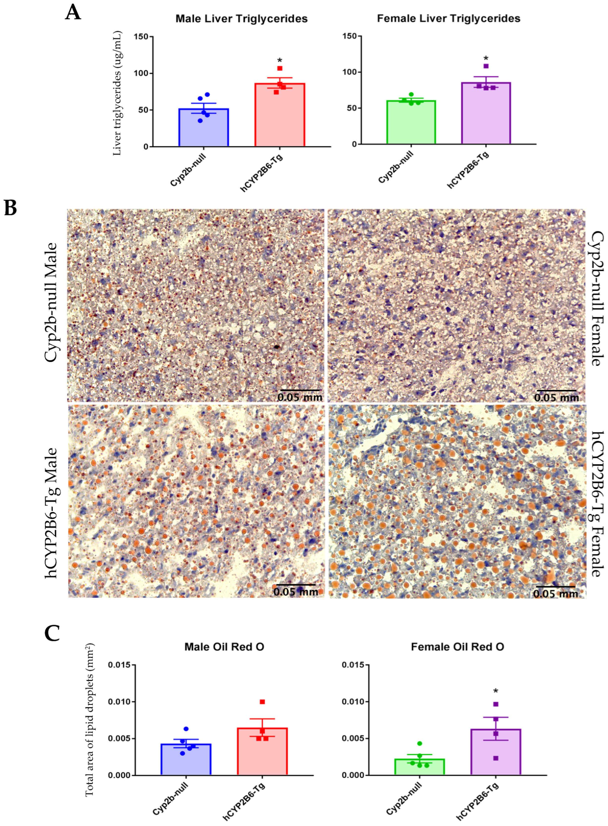 Biomedicines 13 00295 g004 Biomedicines 13 00295 g004