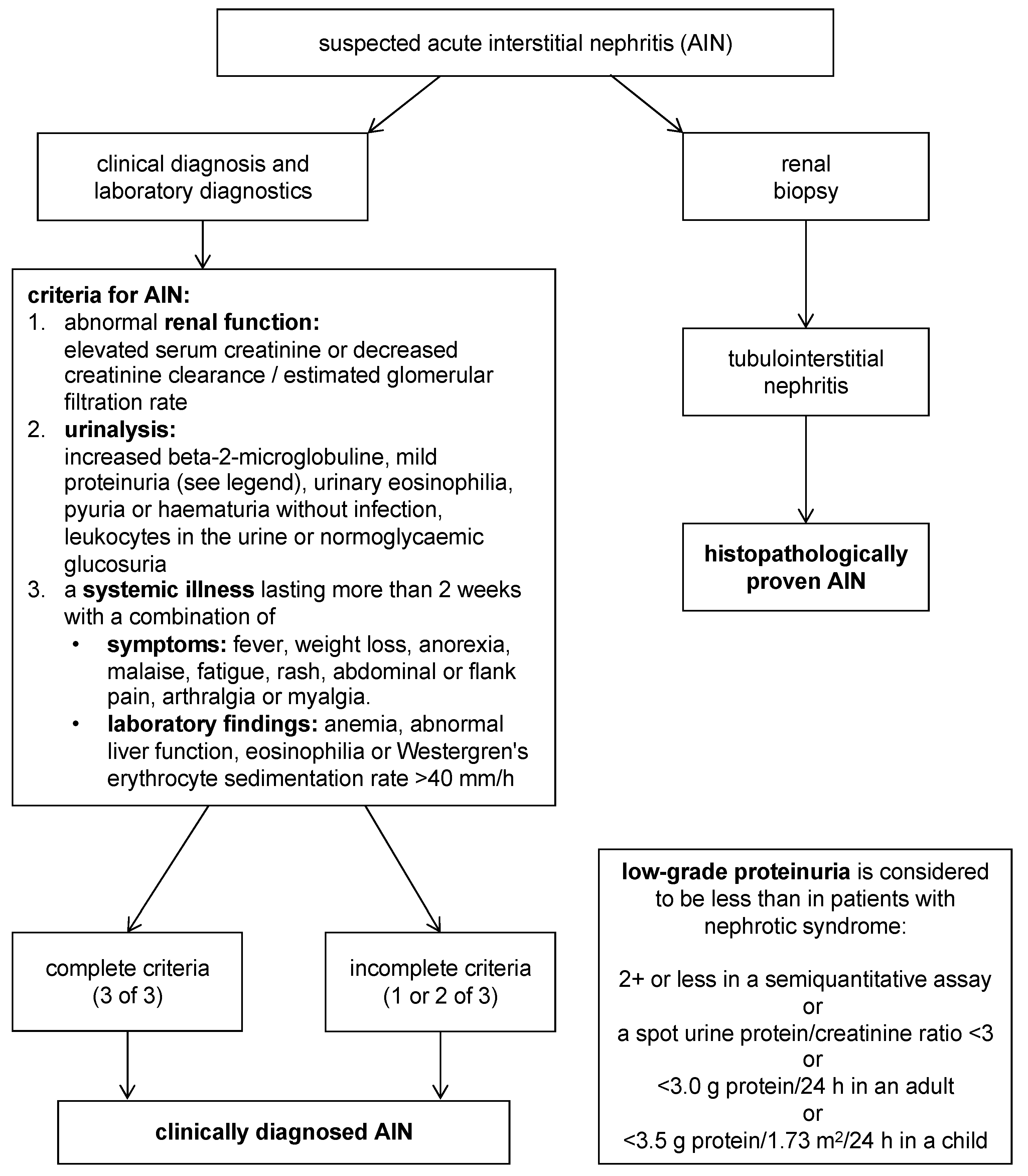 Biomedicines 13 00300 g002