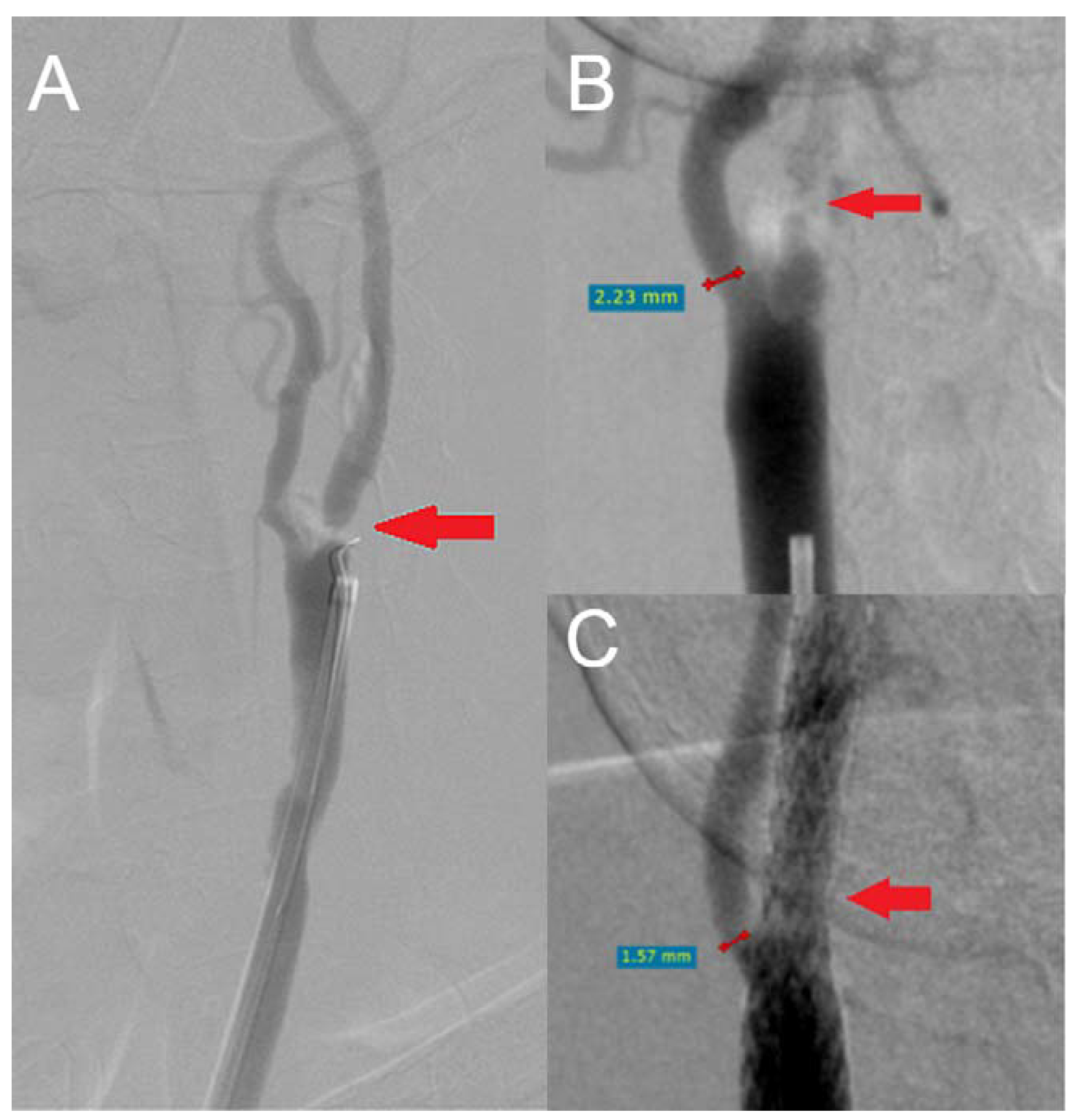 Biomedicines 13 00303 g001 Biomedicines 13 00303 g001