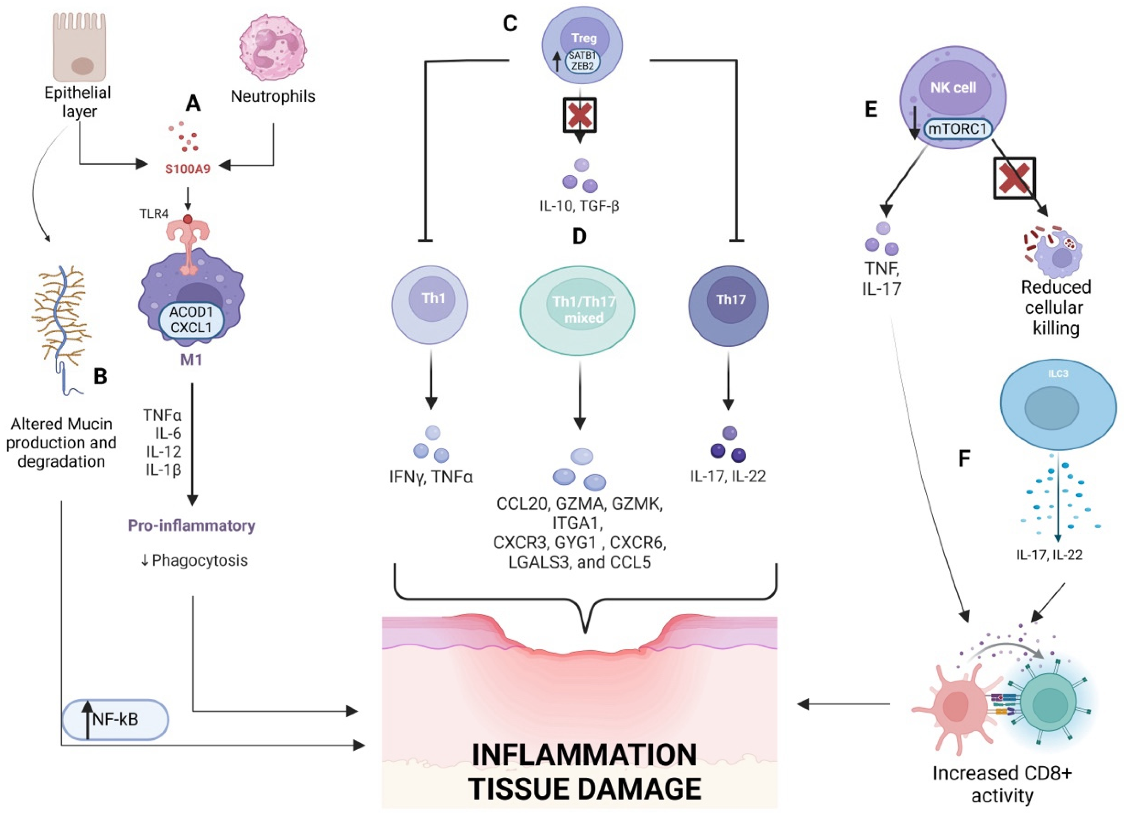 Biomedicines 13 00305 g001 Biomedicines 13 00305 g001