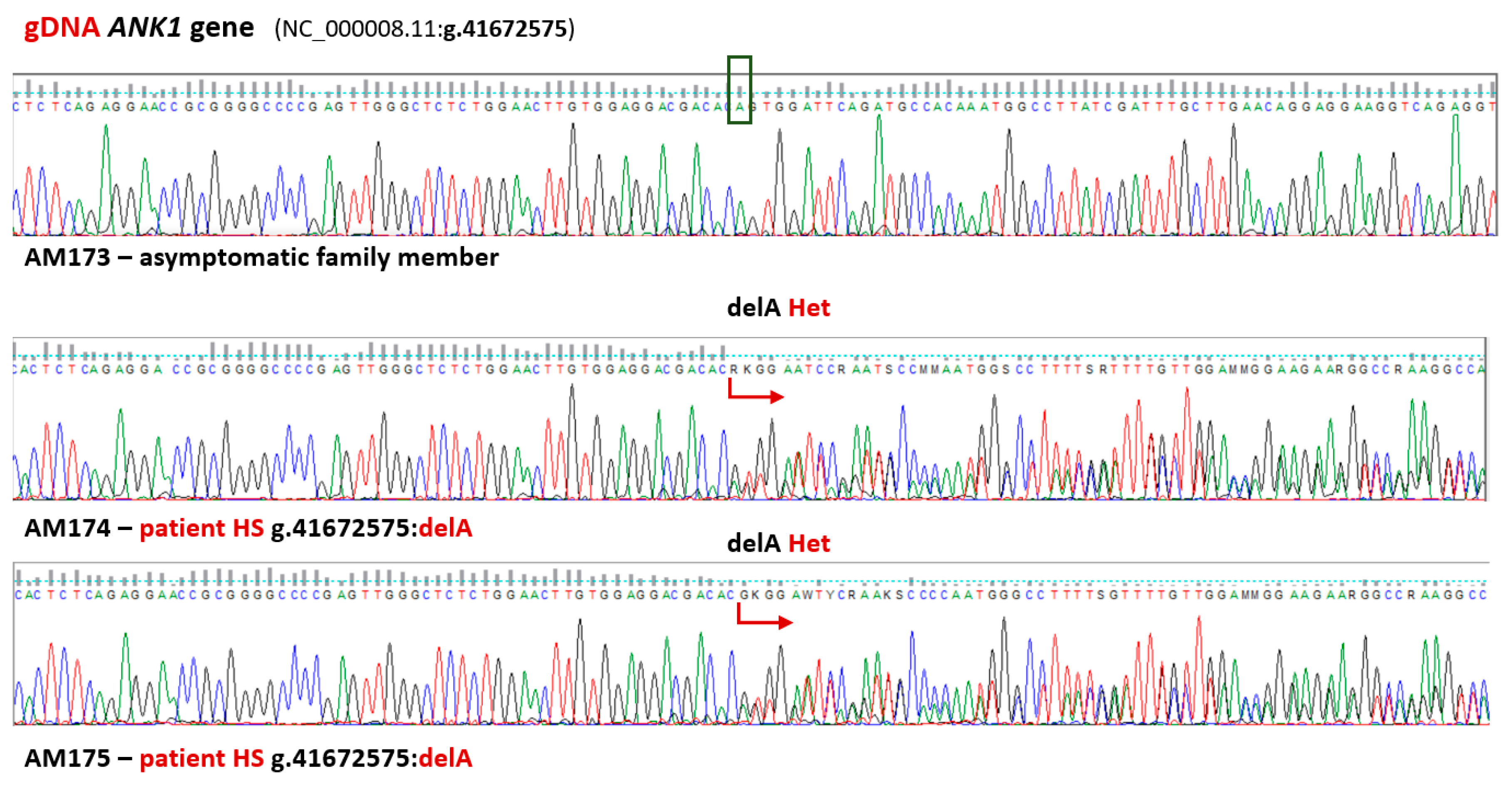 Biomedicines 13 00308 g001 Biomedicines 13 00308 g001