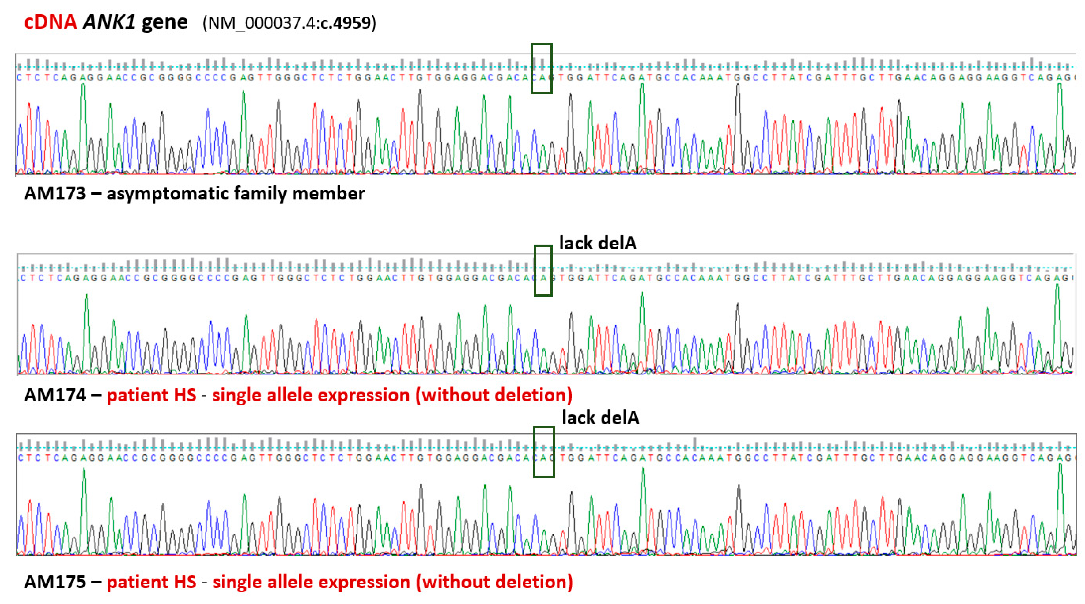 Biomedicines 13 00308 g002 Biomedicines 13 00308 g002