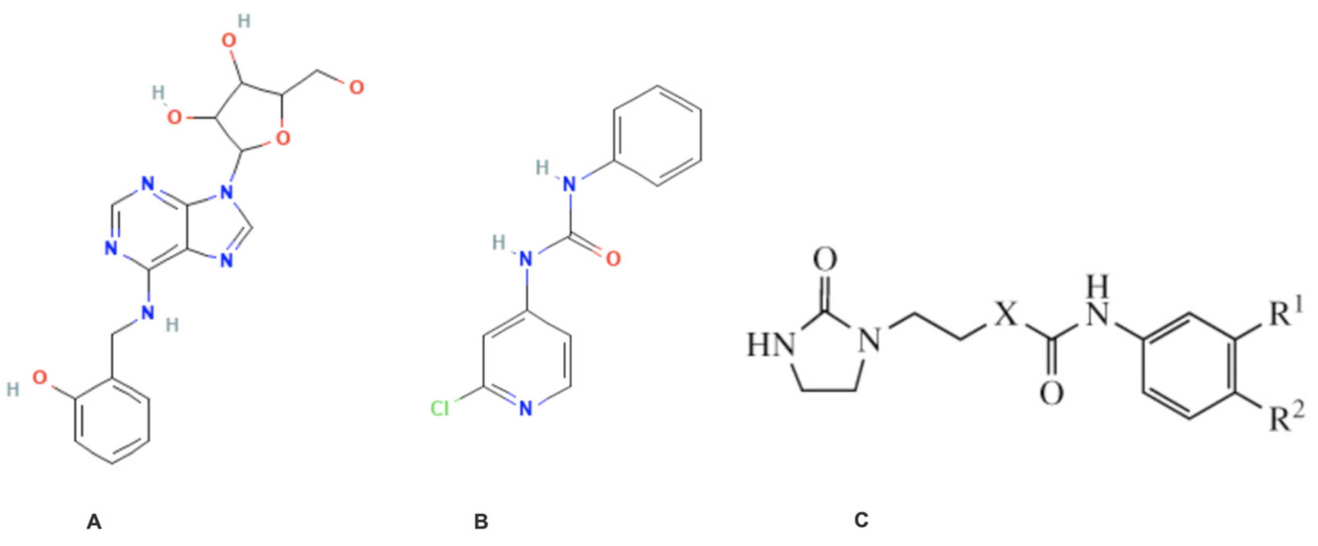 Biomedicines 13 00316 g001